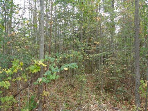 Photo of Lt0 CTH G, Spruce, WI 54174 (MLS # 1766940)