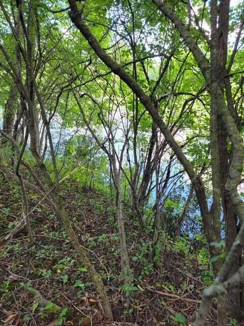 Photo of Lt1-3 Road L -, Merton, WI 53066 (MLS # 1875964)