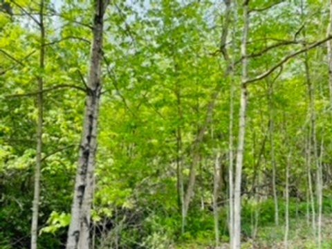 Photo of Lt1 Maple St, Ashippun, WI 53036 (MLS # 1740258)