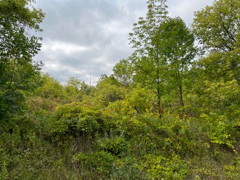 Photo of Lt2 Pelishek Rd, Sherman, WI 53001 (MLS # 1689648)