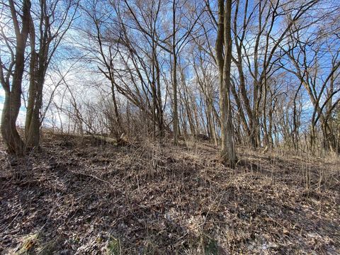 Photo of Lt10 95th St, Randall, WI 53128 (MLS # 1732590)