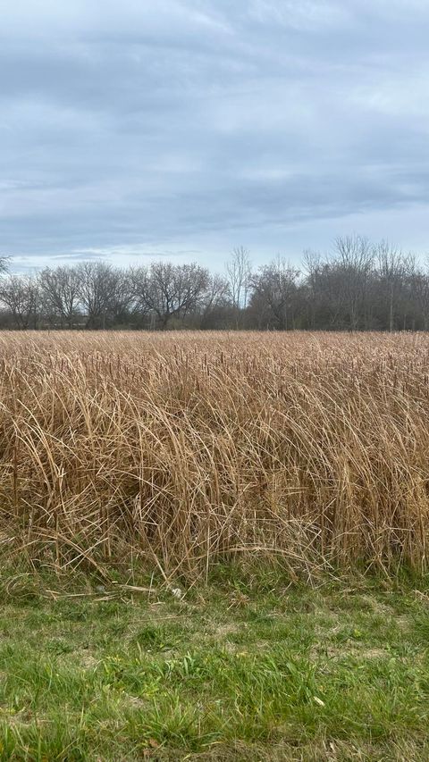 Photo of 14240 N Port Washington Rd, Mequon, WI 53097 (MLS # 1898500)