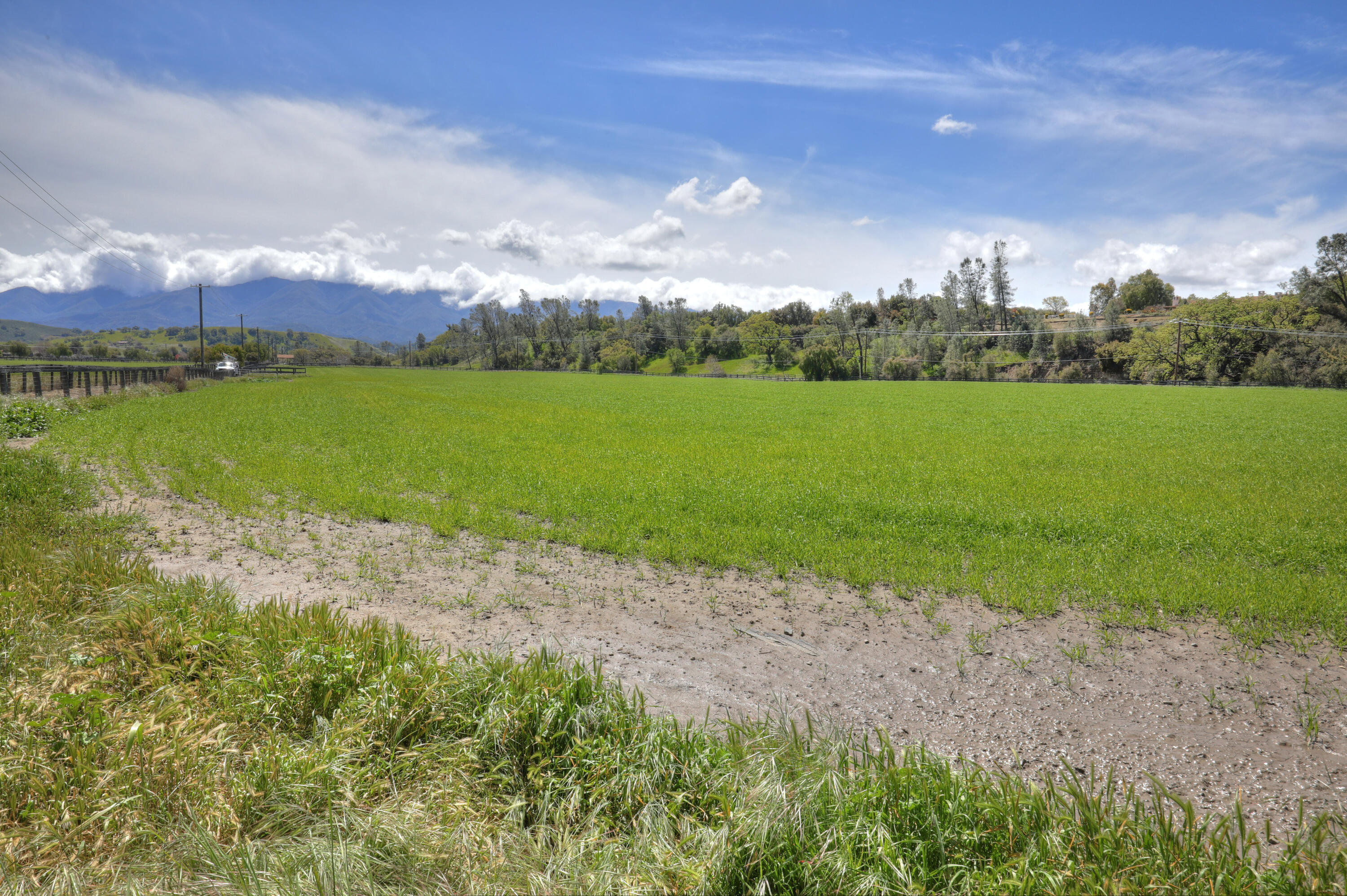 Santa Ynez, California 93460, United States, ,Land,Active,14003