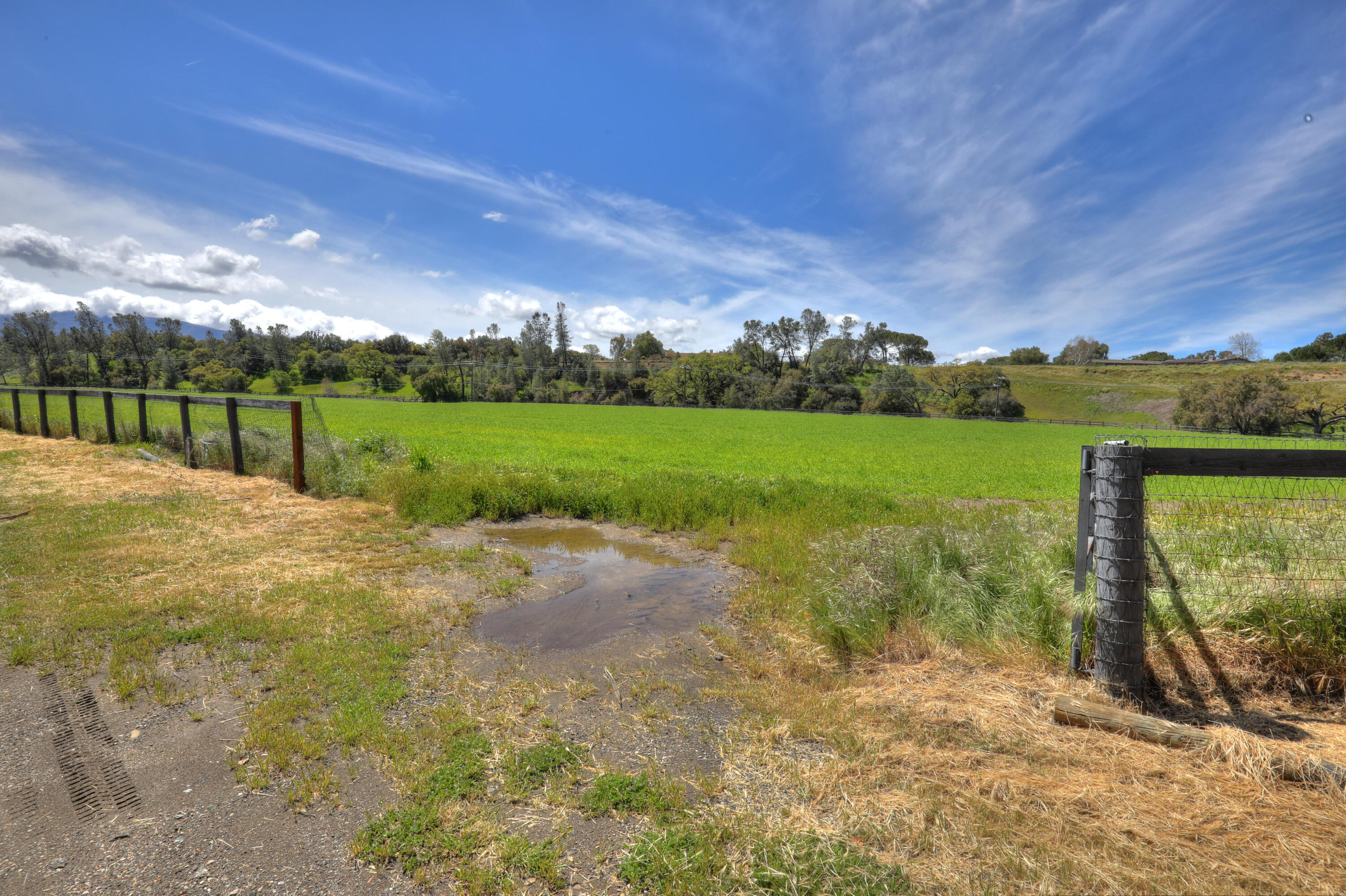 Santa Ynez, California 93460, United States, ,Land,Active,14003