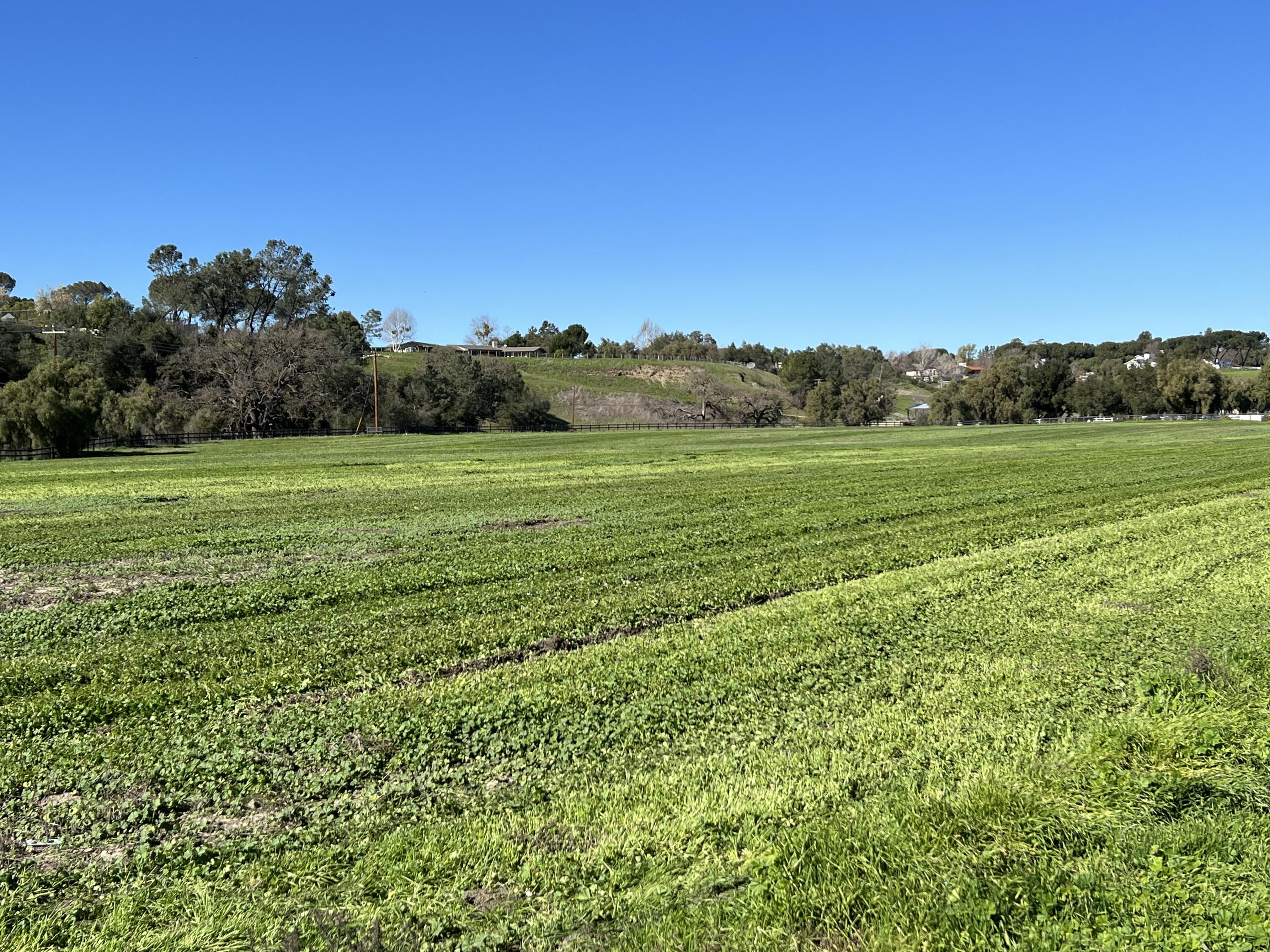 Santa Ynez, California 93460, United States, ,Land,Active,14003