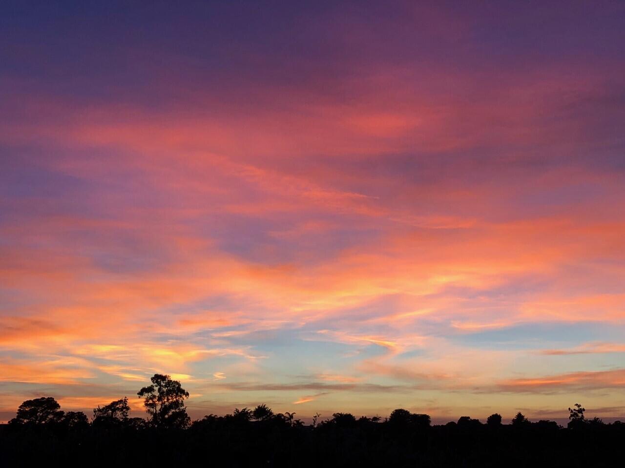 Carpinteria, California 93013, United States, 3 Bedrooms Bedrooms, ,2 BathroomsBathrooms,Residential,Pending,4024