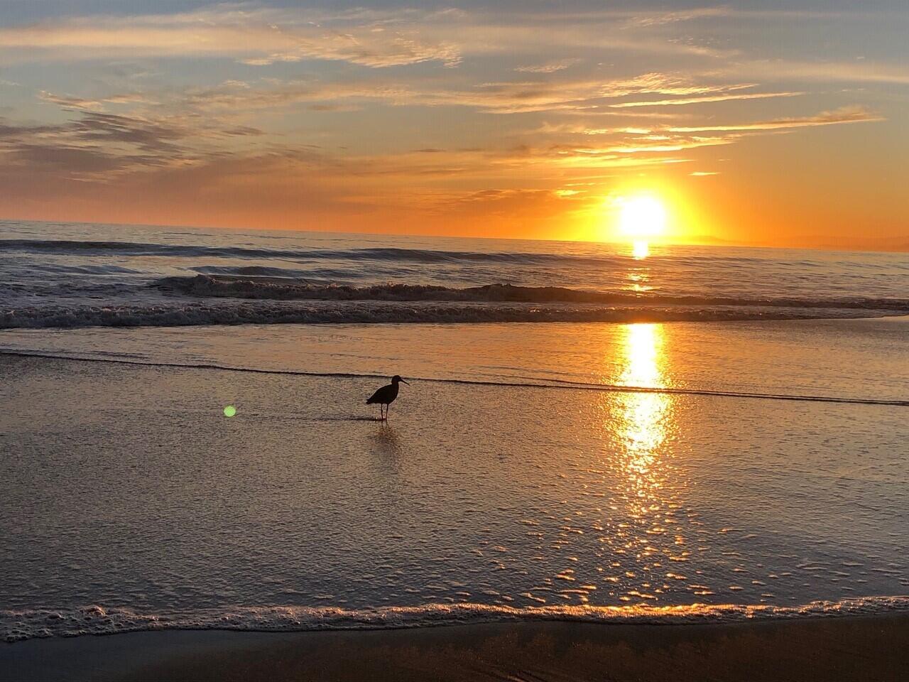 Carpinteria, California 93013, United States, 3 Bedrooms Bedrooms, ,2 BathroomsBathrooms,Residential,Pending,4024