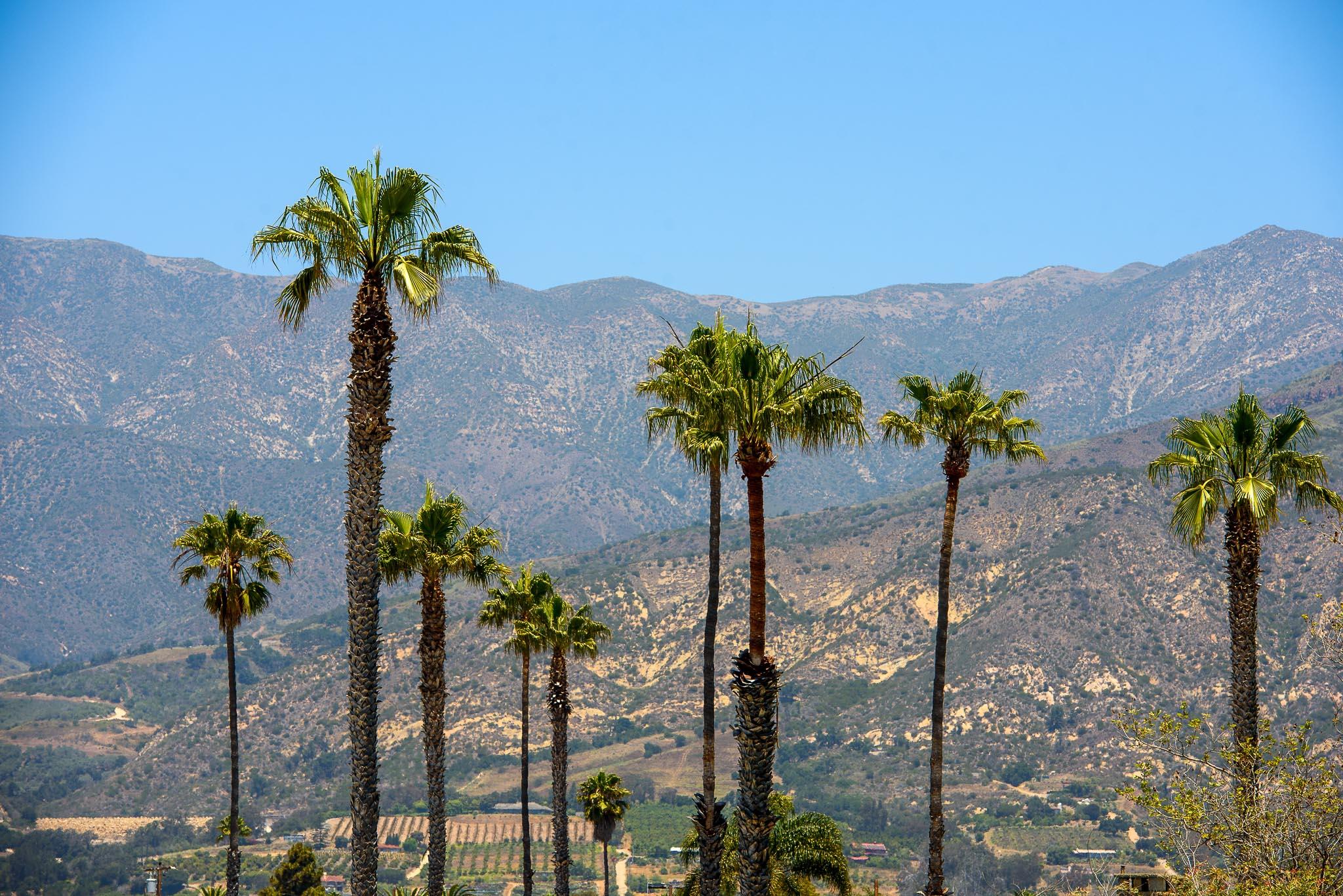 Carpinteria, California 93013, United States, 3 Bedrooms Bedrooms, ,2 BathroomsBathrooms,Residential,Pending,4024
