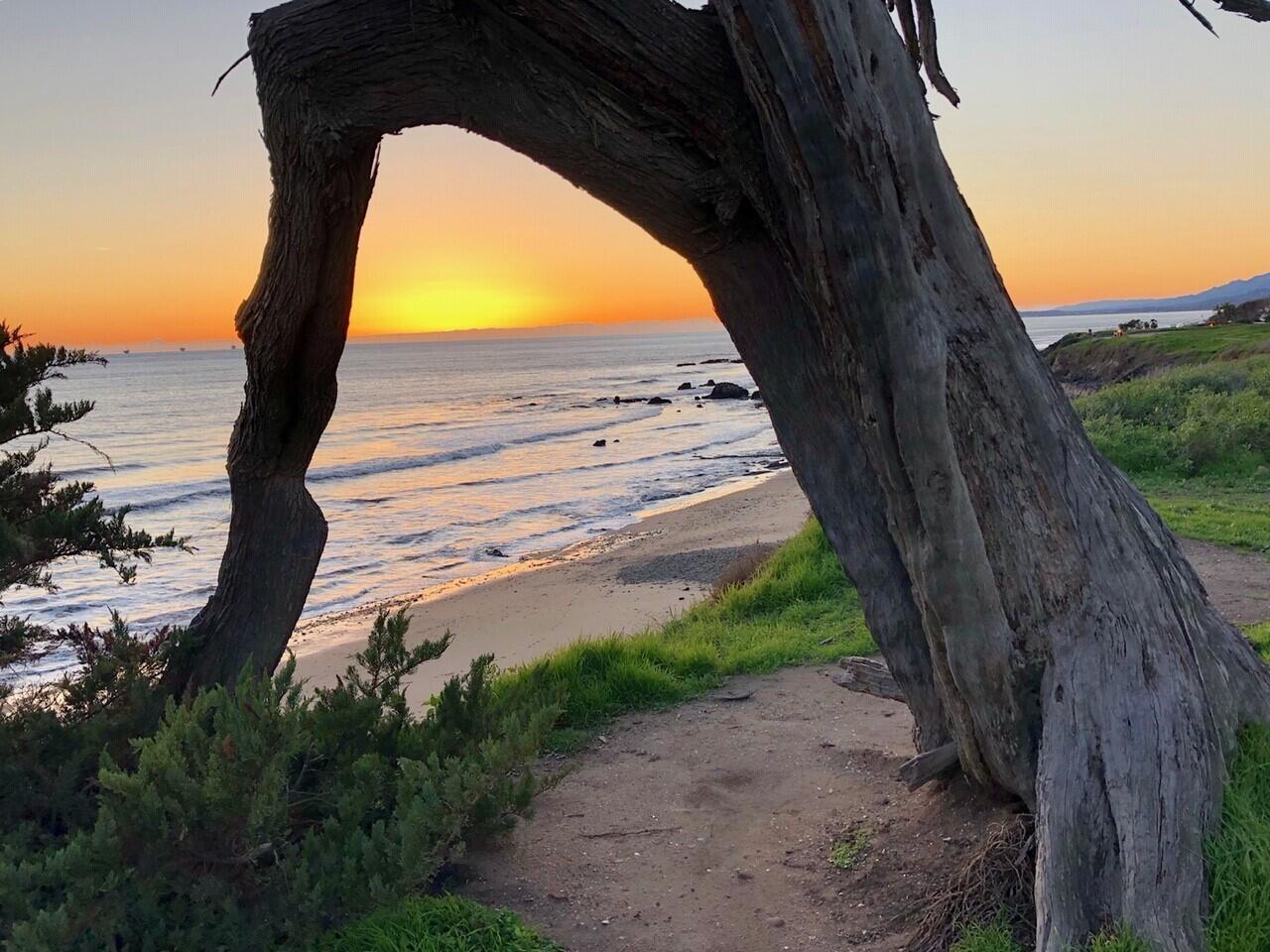 Carpinteria, California 93013, United States, 3 Bedrooms Bedrooms, ,2 BathroomsBathrooms,Residential,Pending,4024