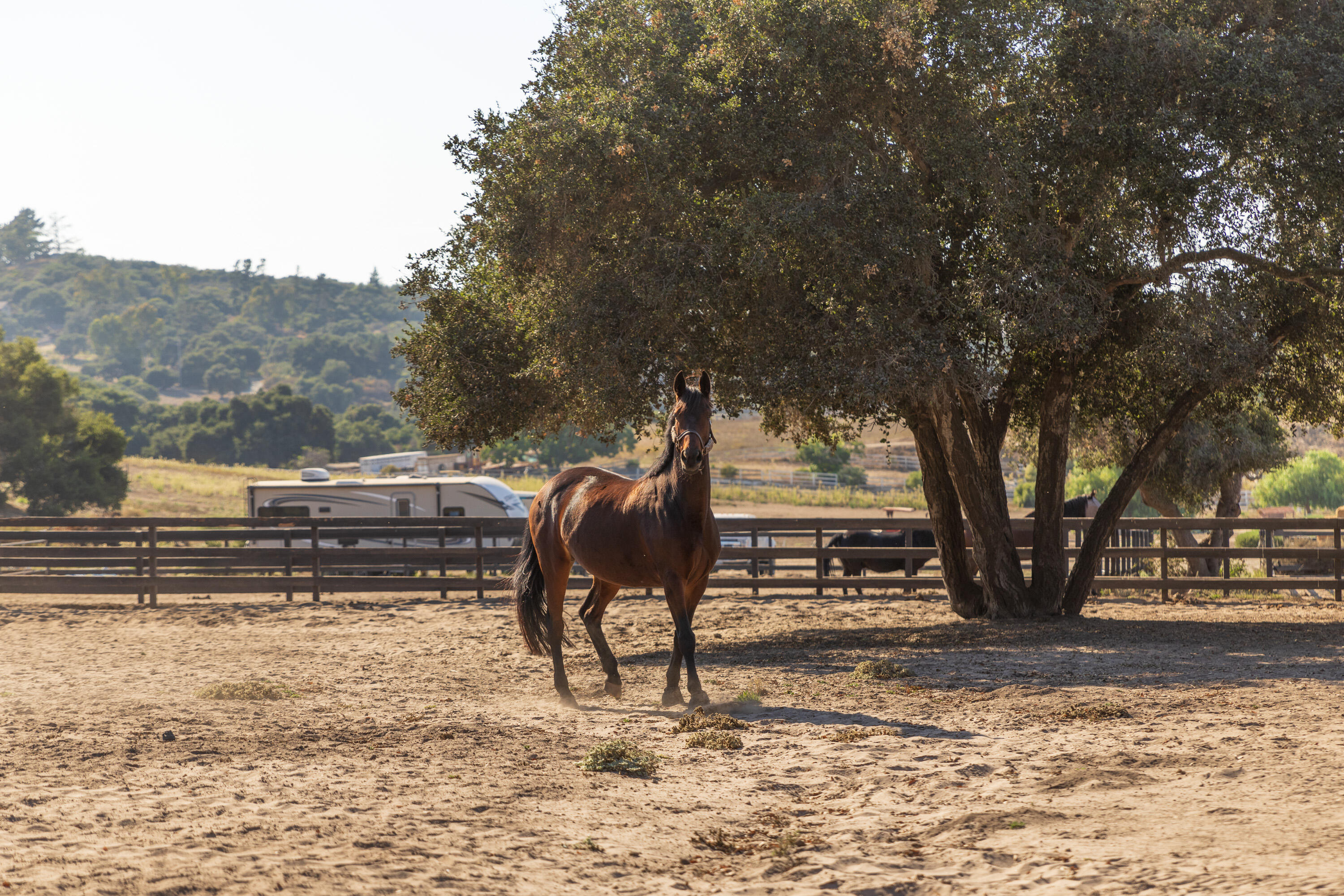 Lompoc, California 93436, United States, 3 Bedrooms Bedrooms, ,3 BathroomsBathrooms,Residential,Pending,38696