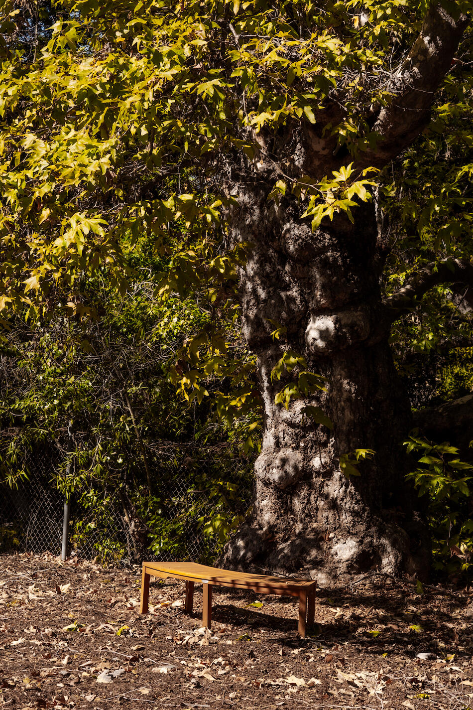 Santa Barbara, California 93105, United States, 2 Bedrooms Bedrooms, ,1 BathroomBathrooms,Residential,Pending,222724