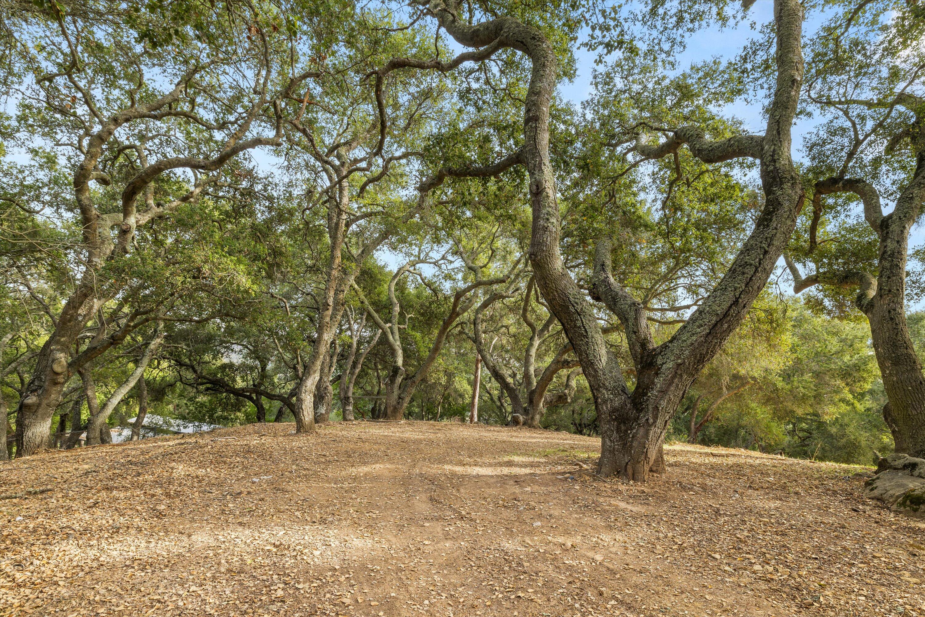 Santa Barbara, California 93105, United States, 4 Bedrooms Bedrooms, ,3 BathroomsBathrooms,Residential,Active,21913