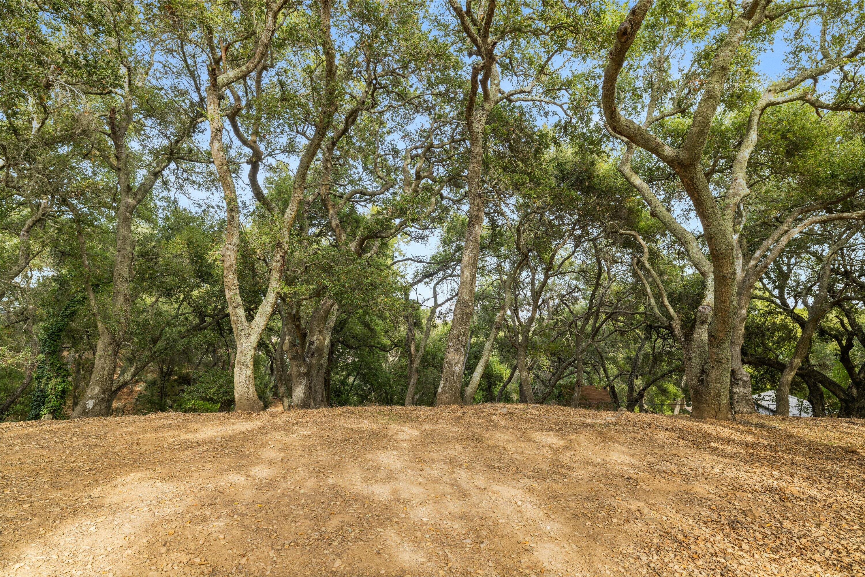 Santa Barbara, California 93105, United States, 4 Bedrooms Bedrooms, ,3 BathroomsBathrooms,Residential,Active,21913