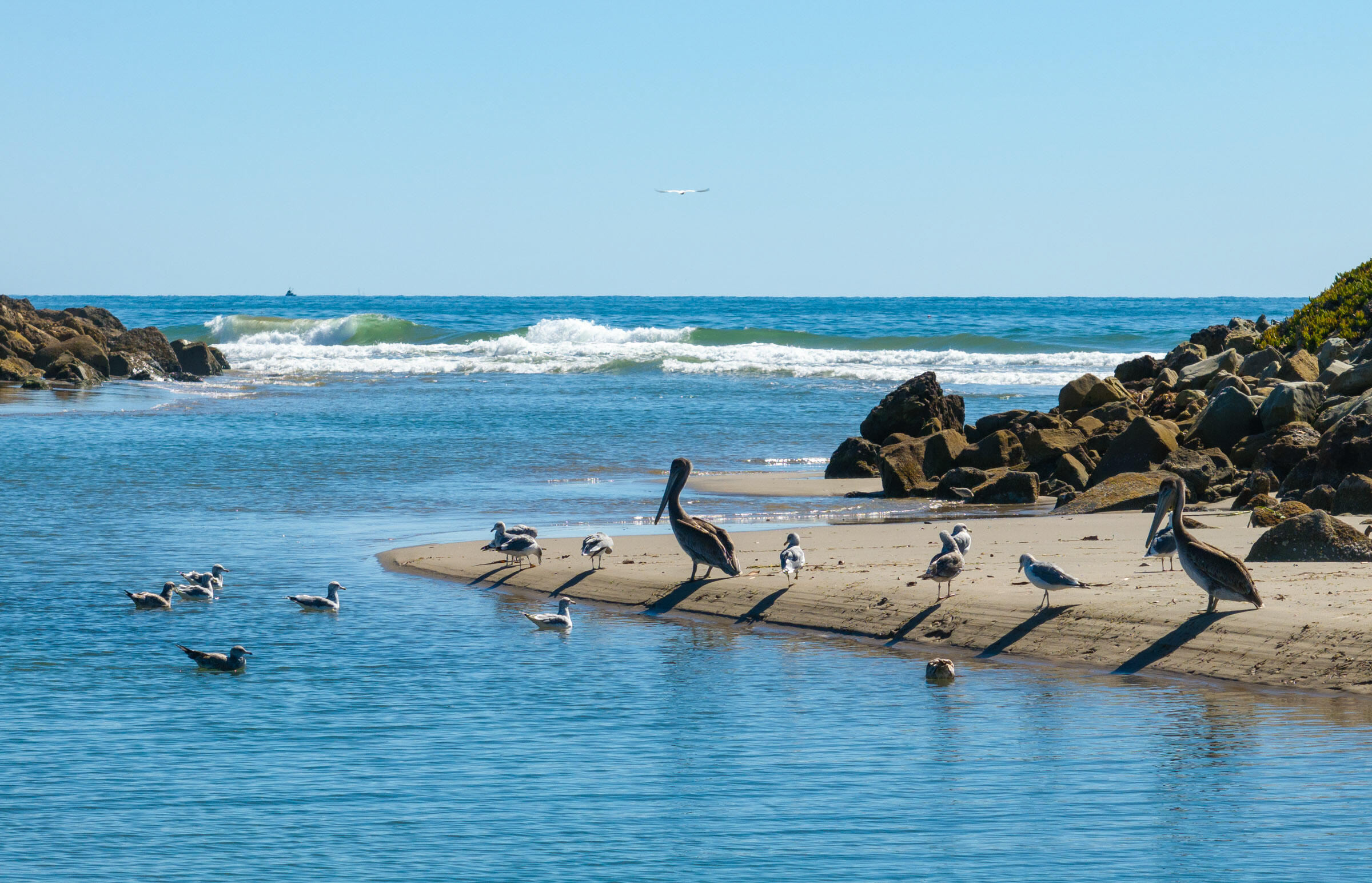 Carpinteria, California 93013, United States, 4 Bedrooms Bedrooms, ,5 BathroomsBathrooms,Residential,Coming Soon,225793