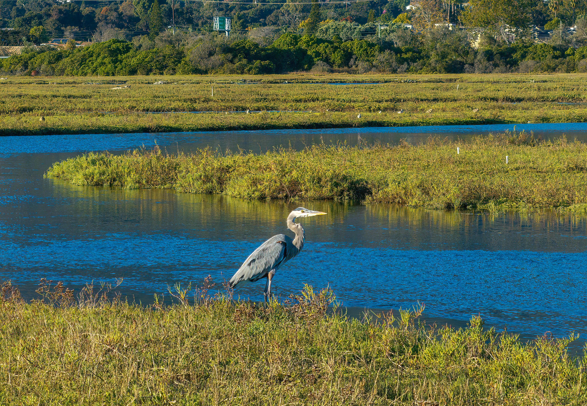 Carpinteria, California 93013, United States, 4 Bedrooms Bedrooms, ,5 BathroomsBathrooms,Residential,Coming Soon,225793