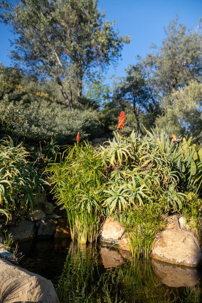 Santa Barbara, California 93105, United States, 3 Bedrooms Bedrooms, ,3 BathroomsBathrooms,Residential,Active,96495