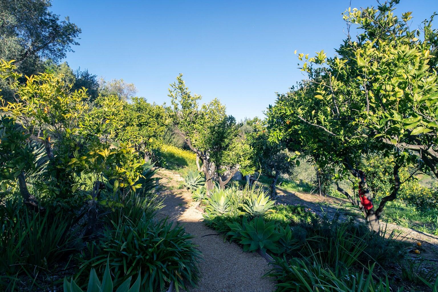 Santa Barbara, California 93105, United States, 3 Bedrooms Bedrooms, ,3 BathroomsBathrooms,Residential,Active,96495