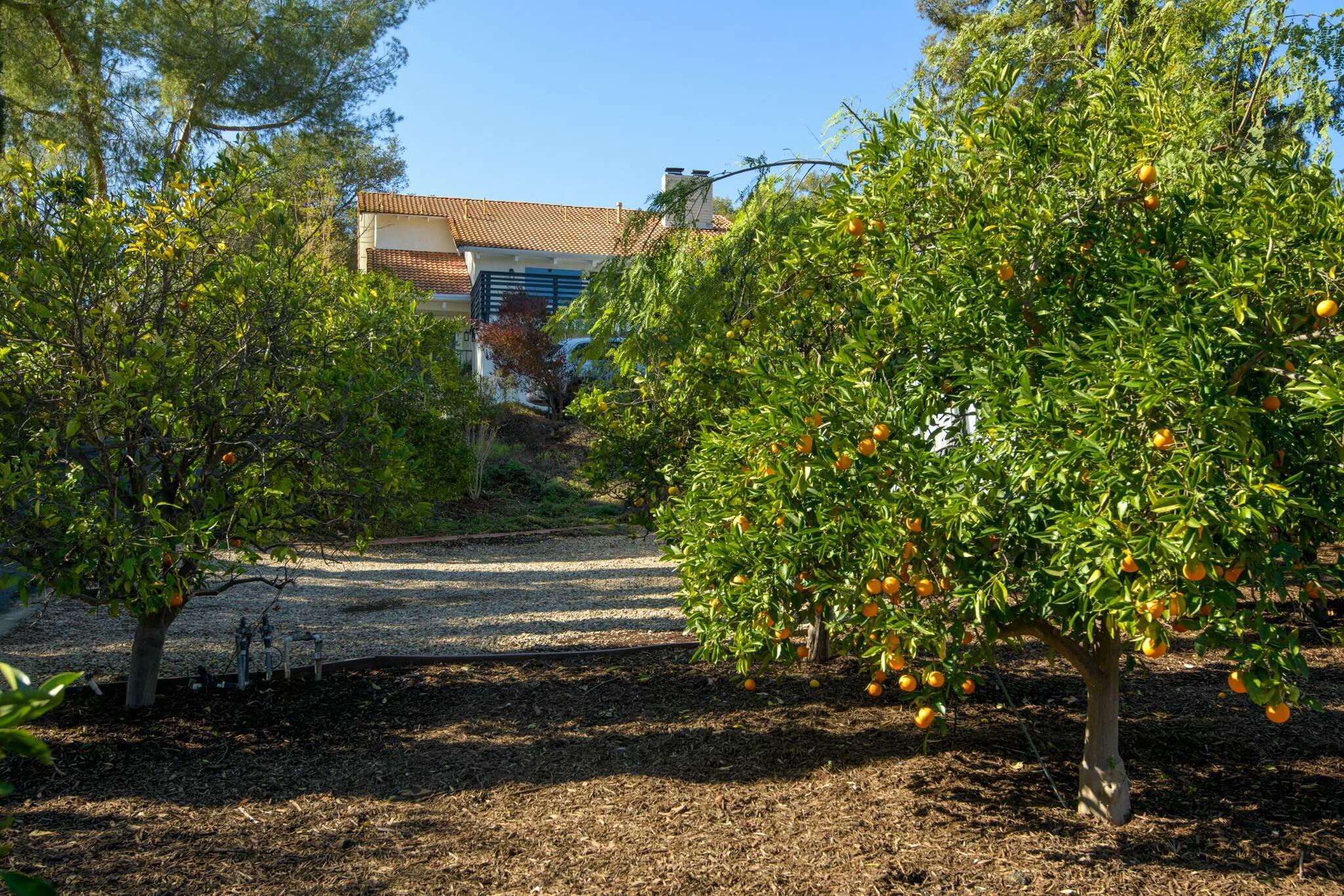 Ojai, California 93023, United States, 3 Bedrooms Bedrooms, ,3 BathroomsBathrooms,Residential,Pending,7379