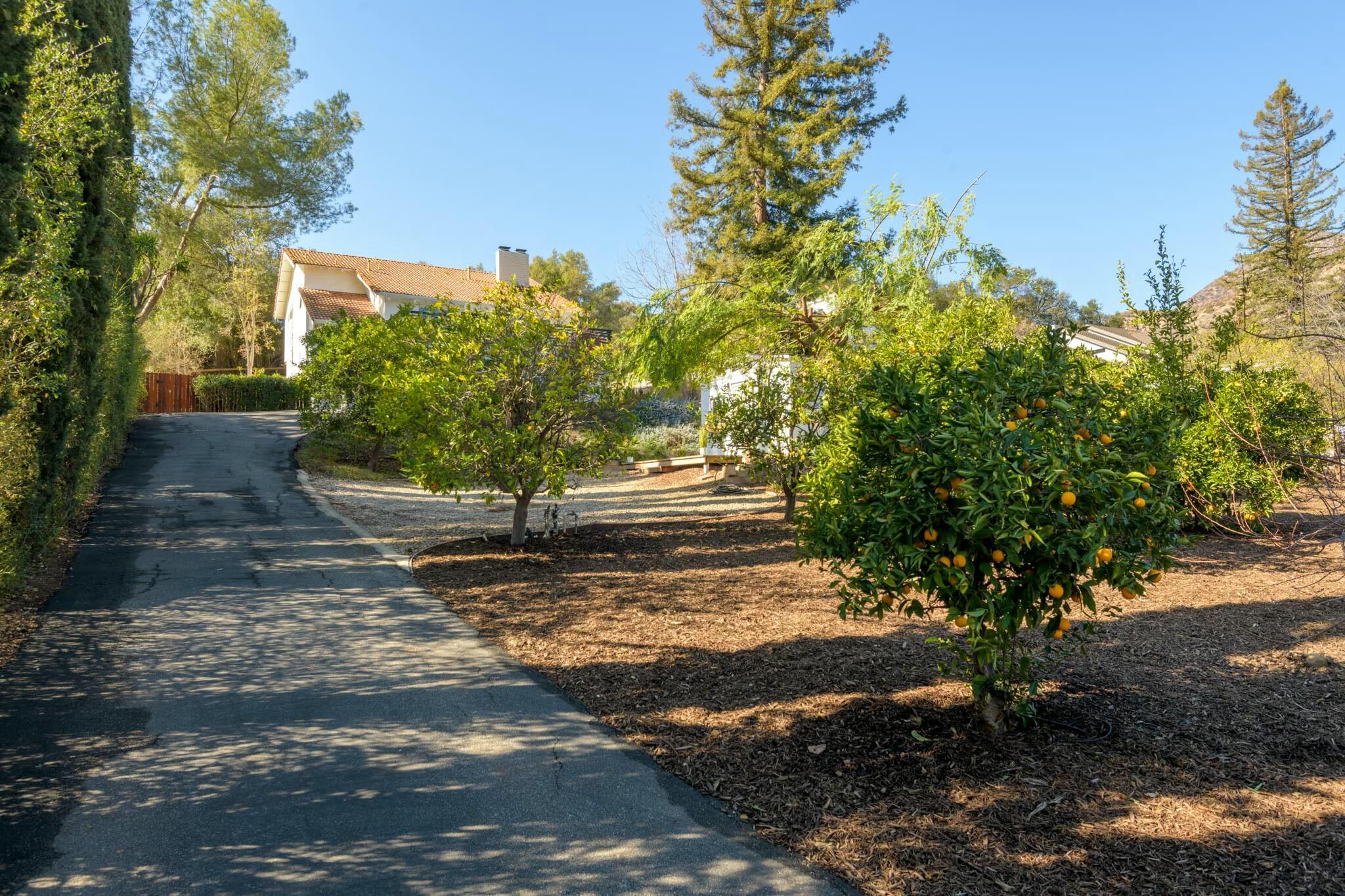 Ojai, California 93023, United States, 3 Bedrooms Bedrooms, ,3 BathroomsBathrooms,Residential,Pending,7379