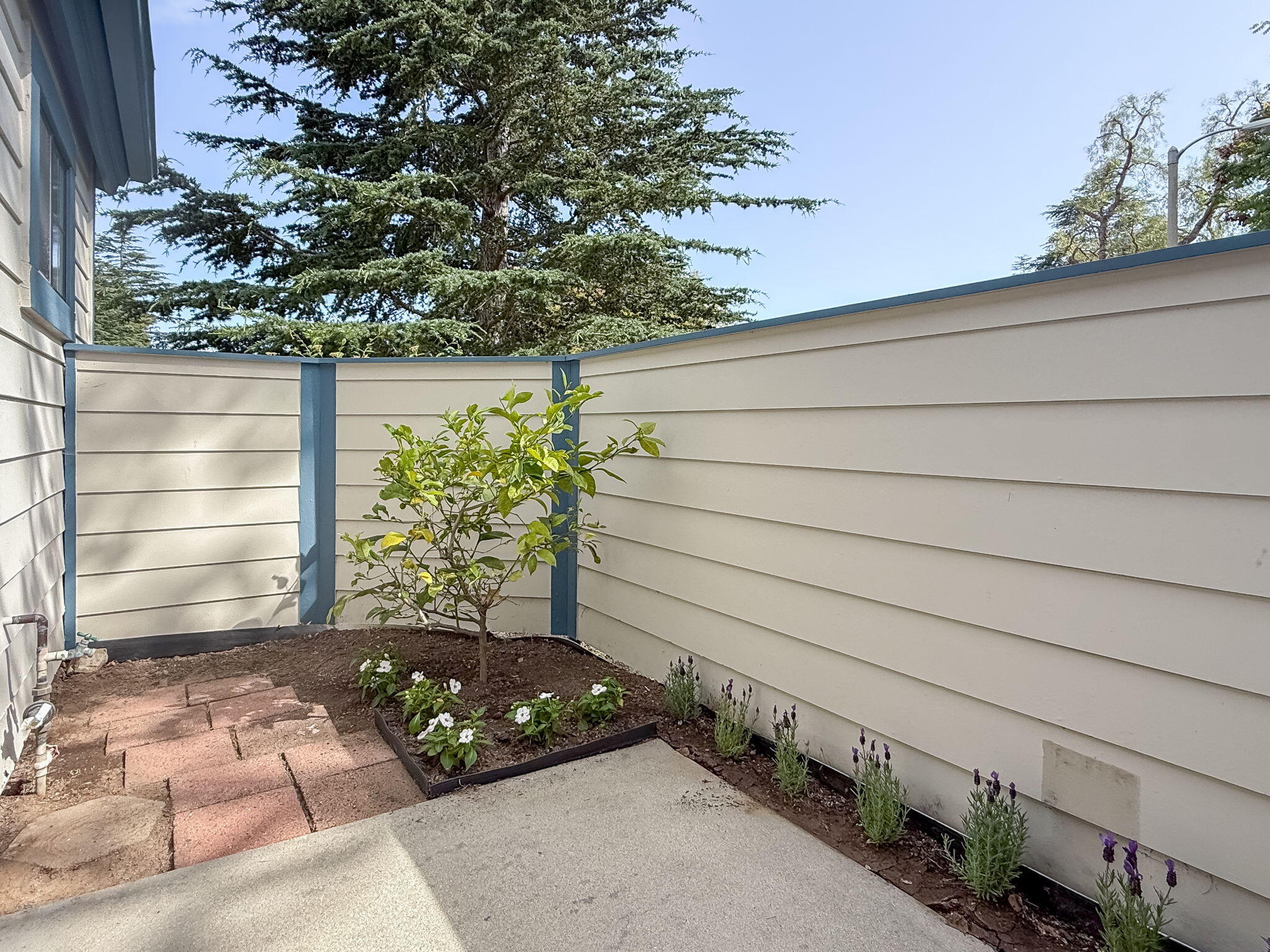 Santa Barbara, California 93111, United States, 2 Bedrooms Bedrooms, ,2 BathroomsBathrooms,Residential,Pending,126258