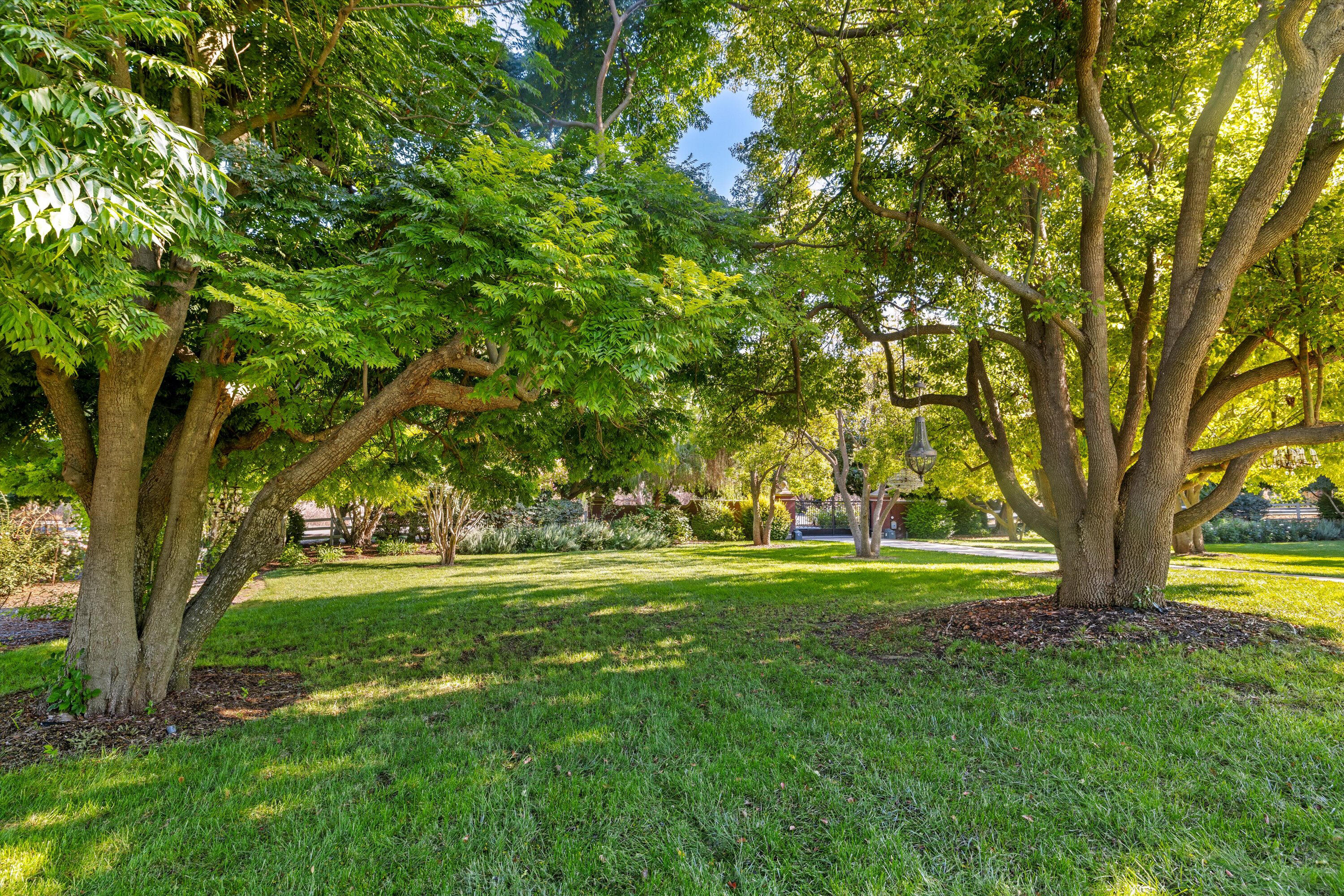 Somis, California 93066, United States, 4 Bedrooms Bedrooms, ,4 BathroomsBathrooms,Residential,Active,216779