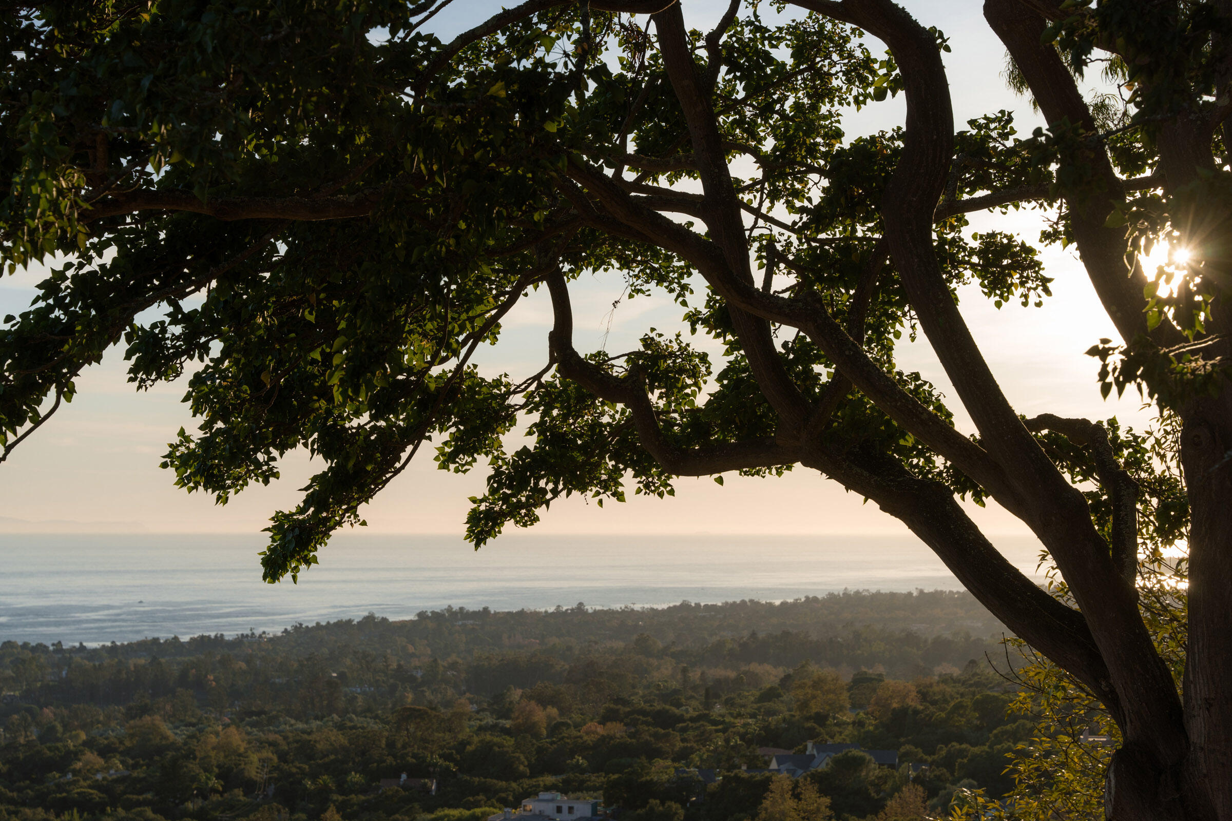 2200 Bella Vista Drive