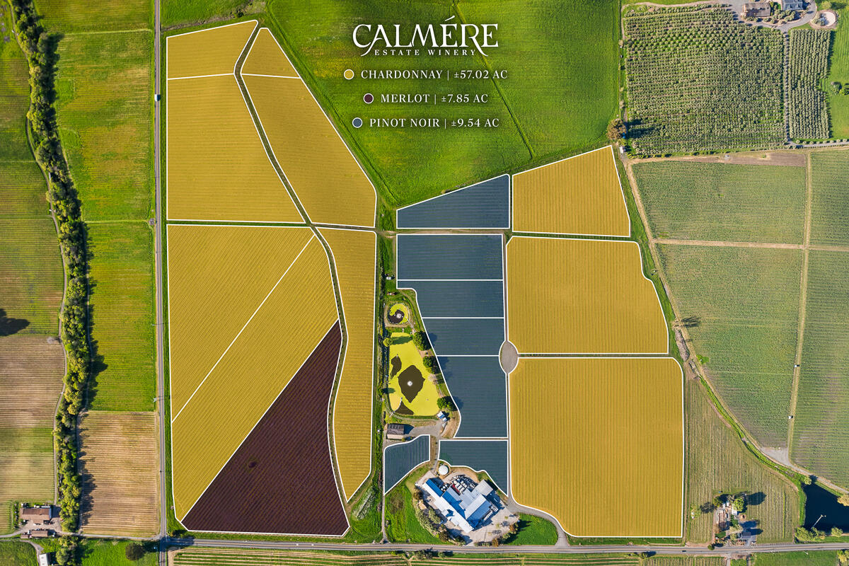 Out Of Area, California 94559, United States, ,Commercial,Active,117155