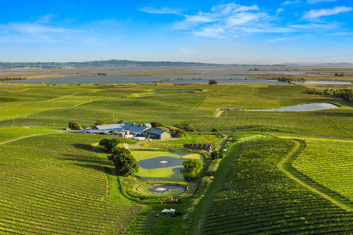 Out Of Area, California 94559, United States, ,Commercial,Active,117155