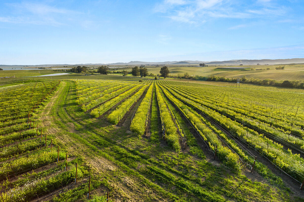 Out Of Area, California 94559, United States, ,Commercial,Active,117155