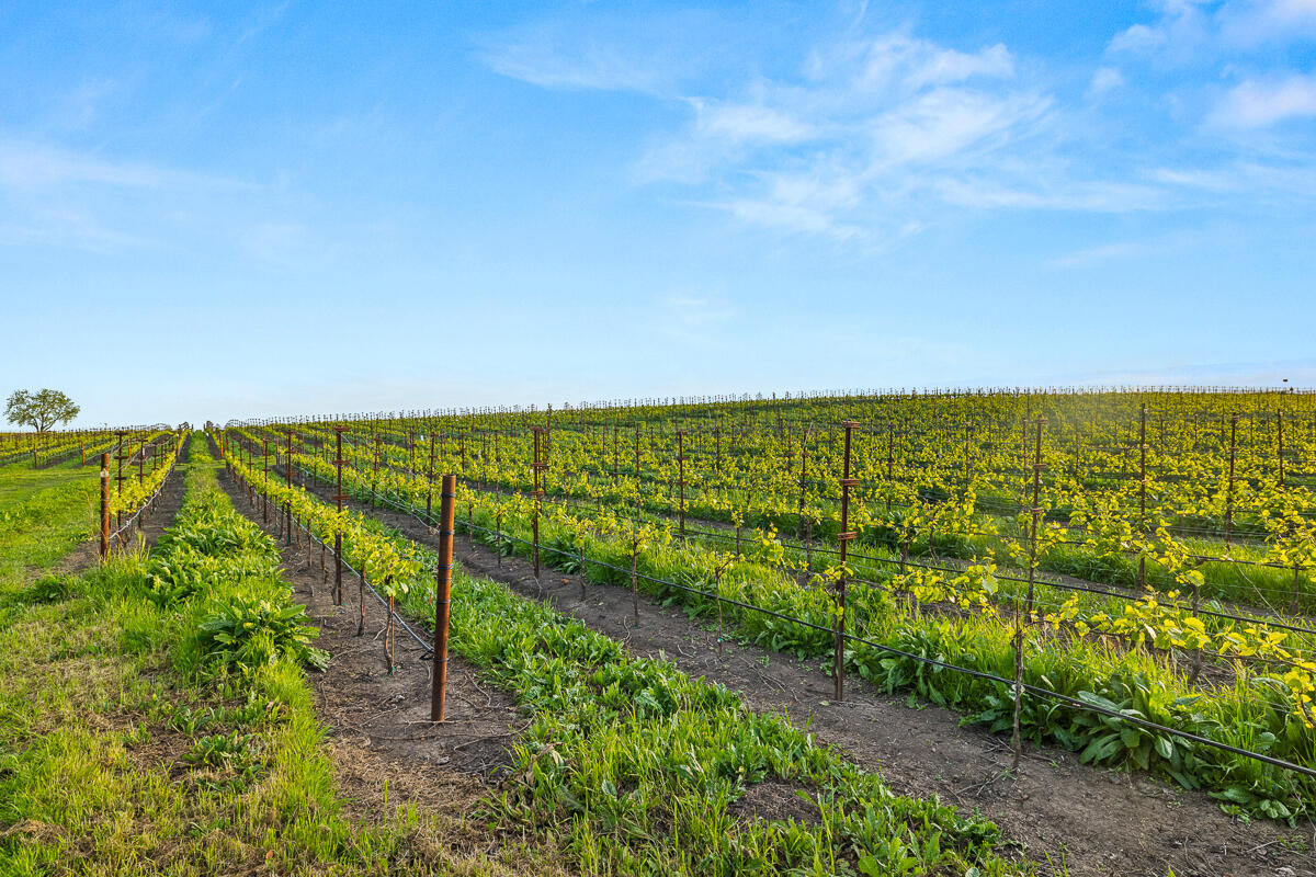 Out Of Area, California 94559, United States, ,Commercial,Active,117155