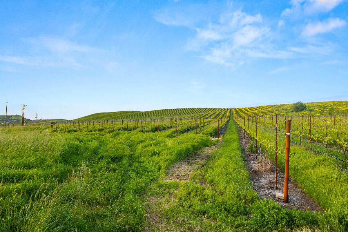 Out Of Area, California 94559, United States, ,Commercial,Active,117155