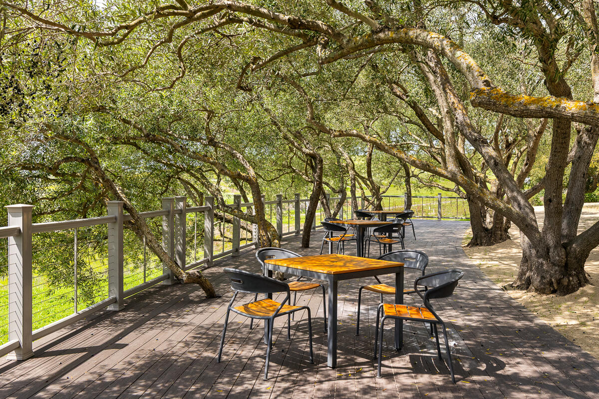 Out Of Area, California 94559, United States, ,Commercial,Active,117155