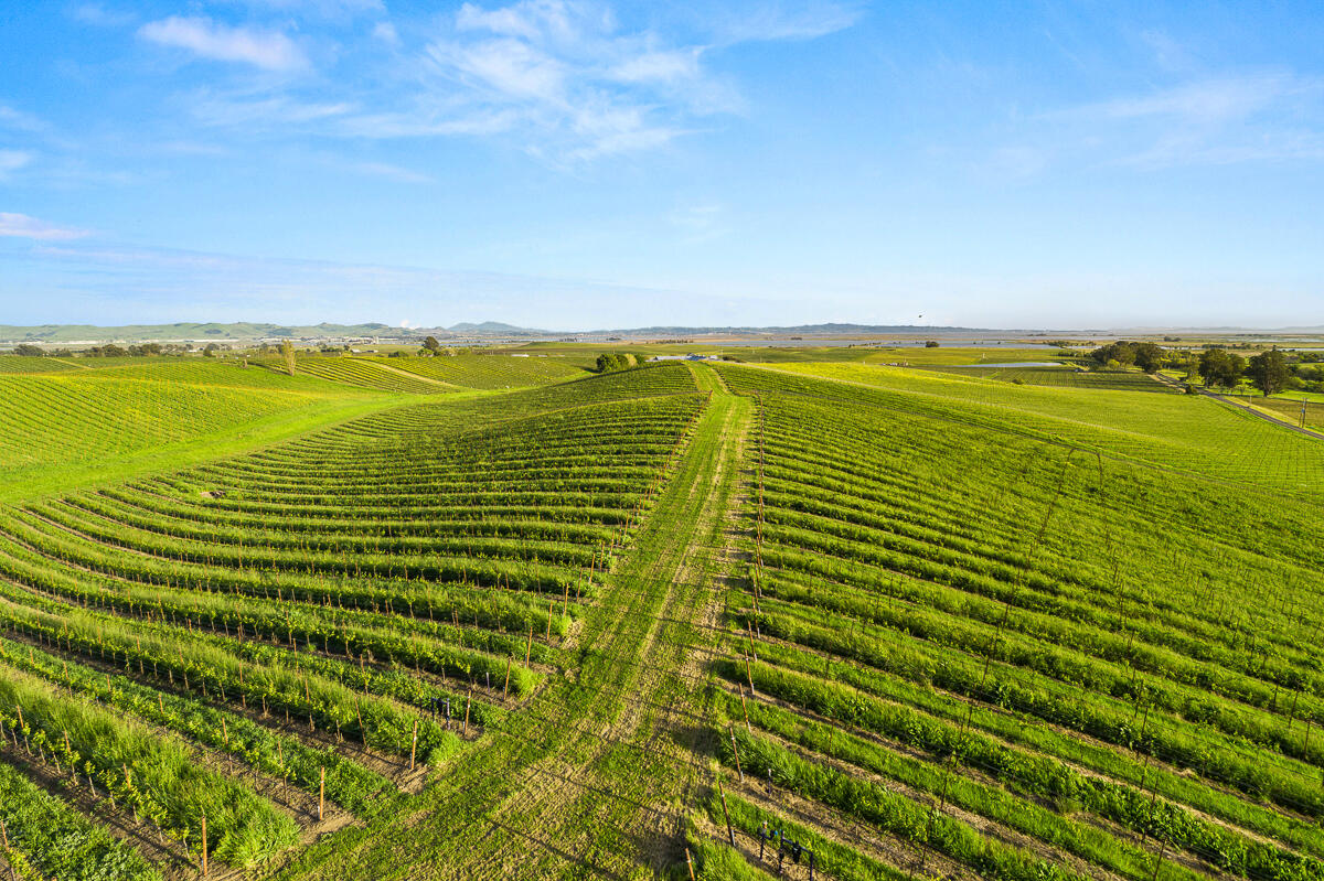 Out Of Area, California 94559, United States, ,Commercial,Active,117155