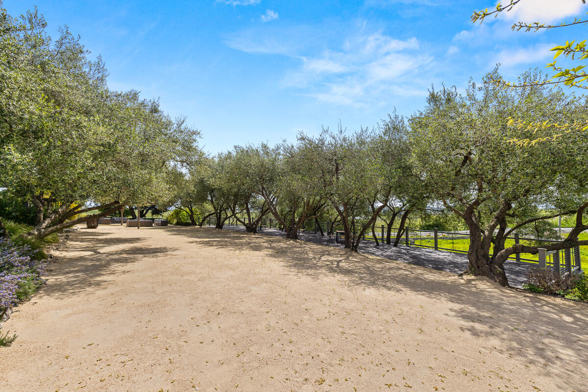 Out Of Area, California 94559, United States, ,Commercial,Active,117155