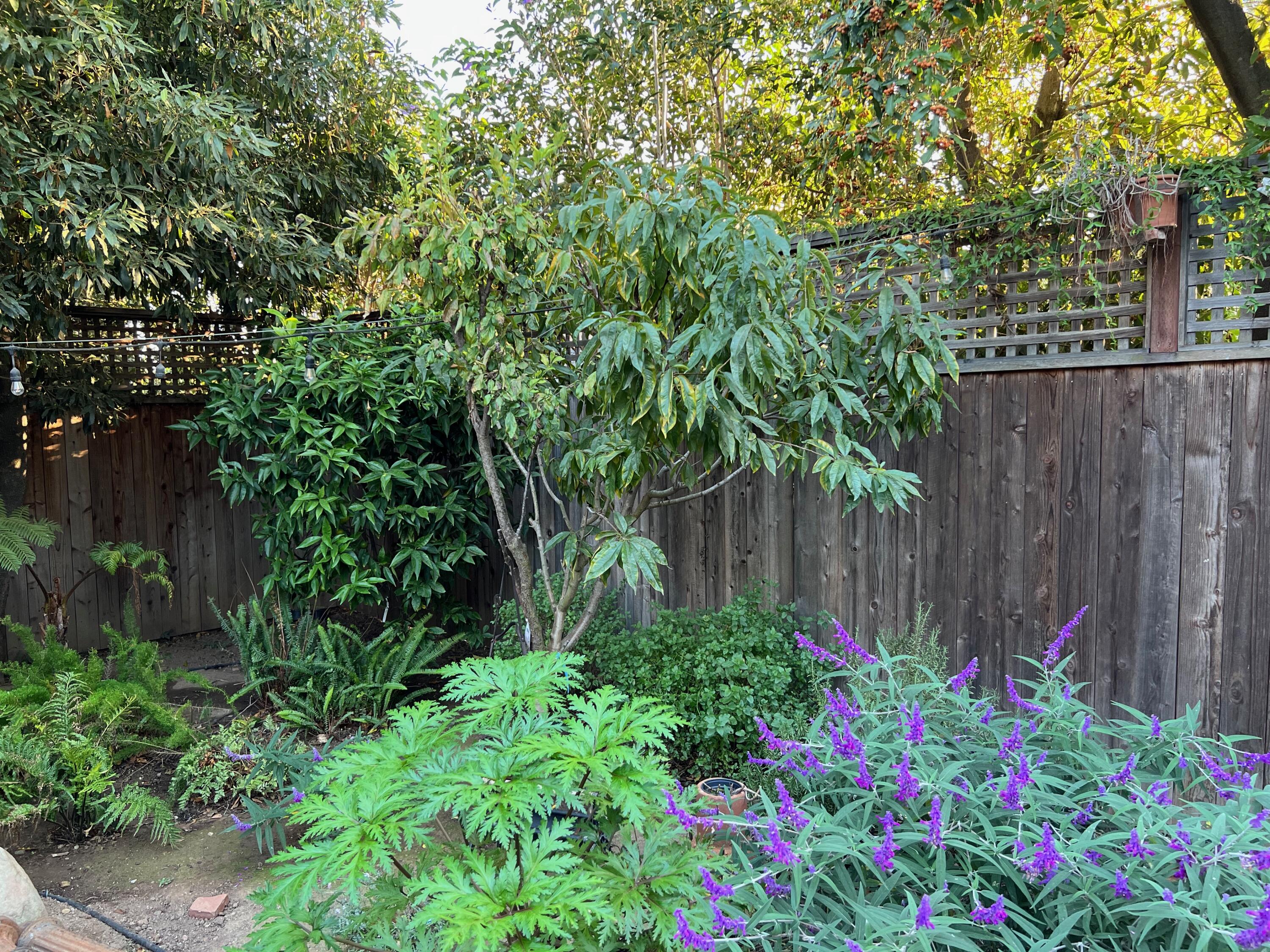 Santa Barbara, California 93101, United States, 4 Bedrooms Bedrooms, ,3 BathroomsBathrooms,Residential,Active,17104