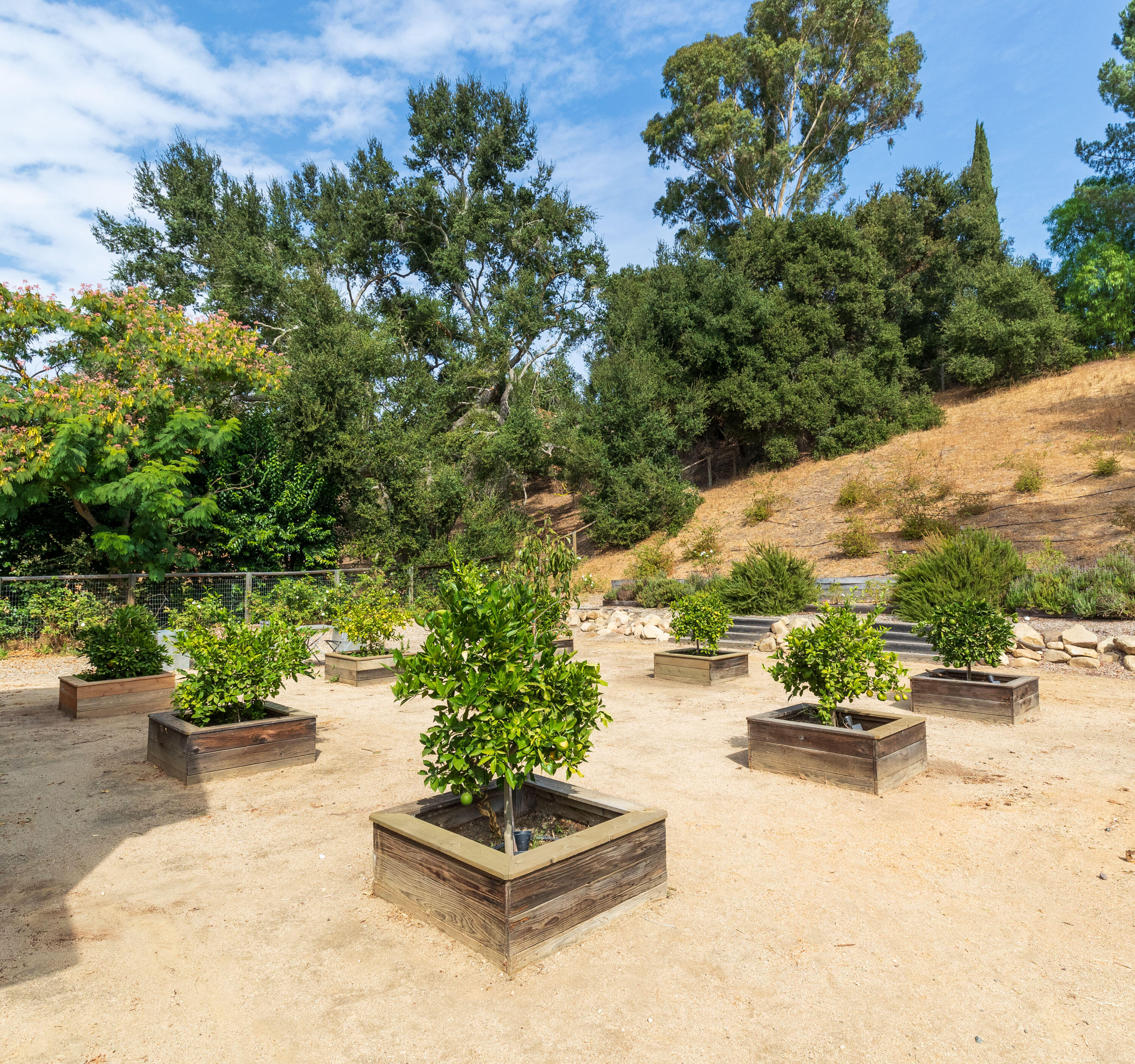 Ballard, California 93463, United States, 3 Bedrooms Bedrooms, ,3 BathroomsBathrooms,Residential,Active,162879