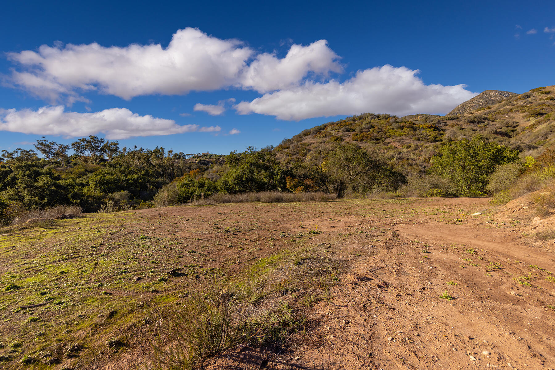 Ojai, California 93023, United States, ,Land,Active,146118