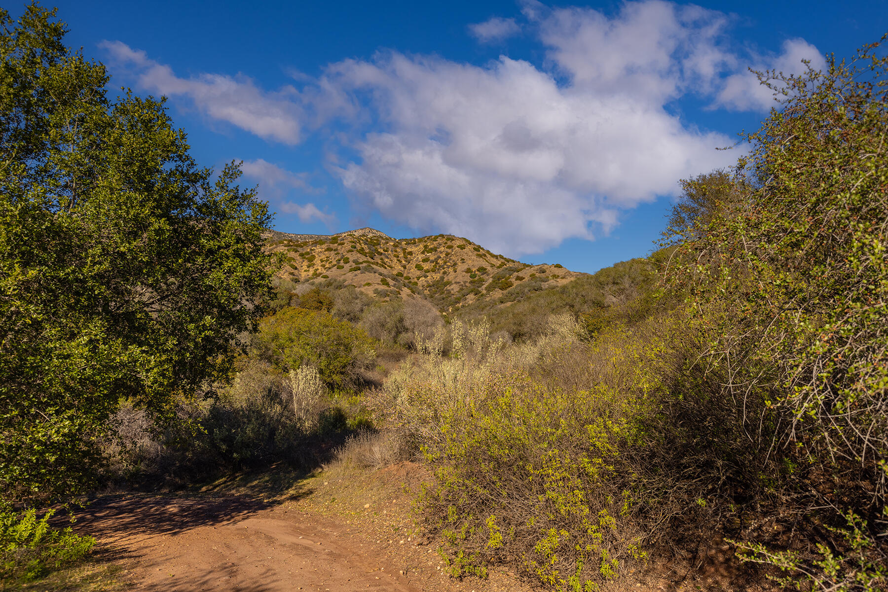 Ojai, California 93023, United States, ,Land,Active,146118