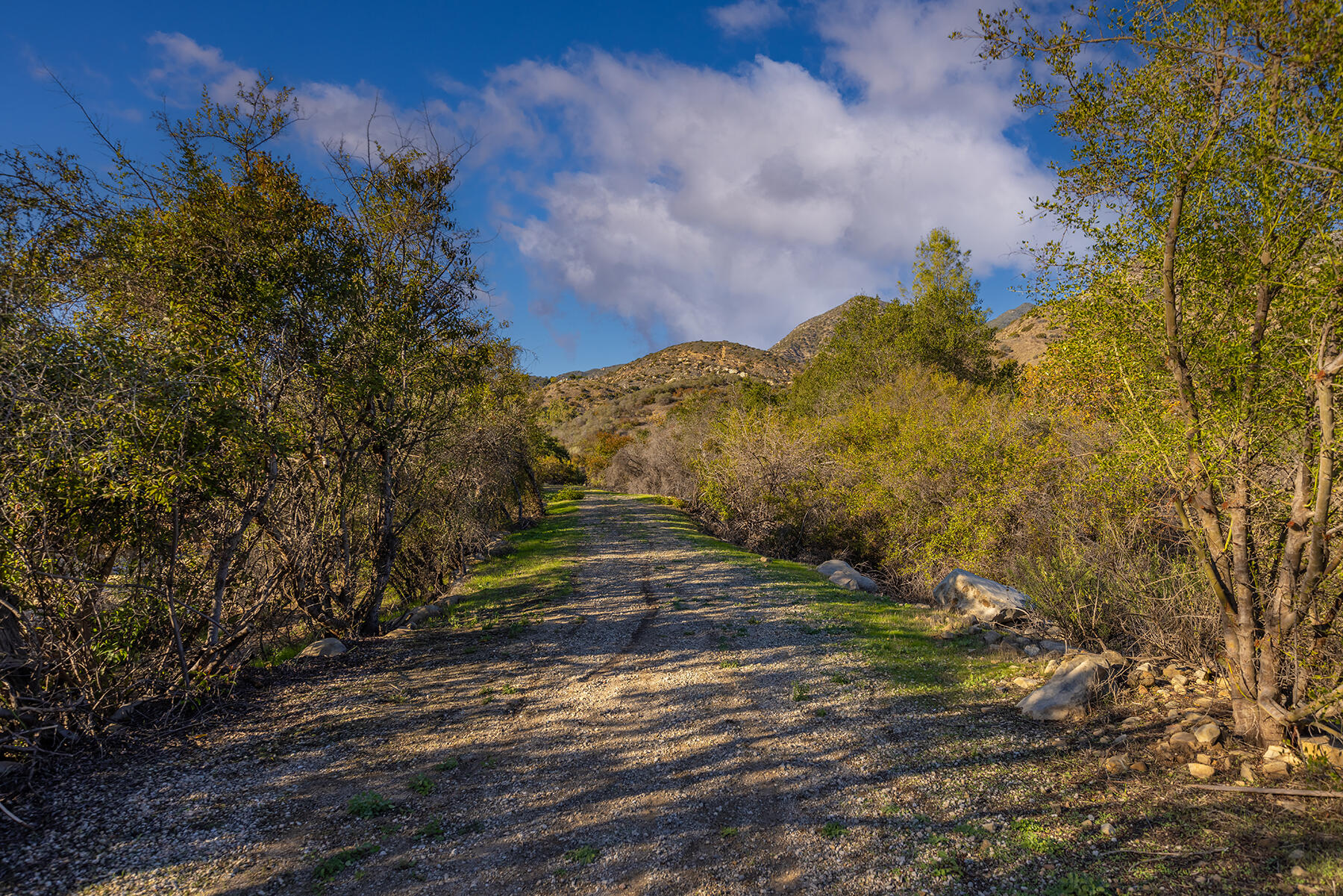 Ojai, California 93023, United States, ,Land,Active,146118