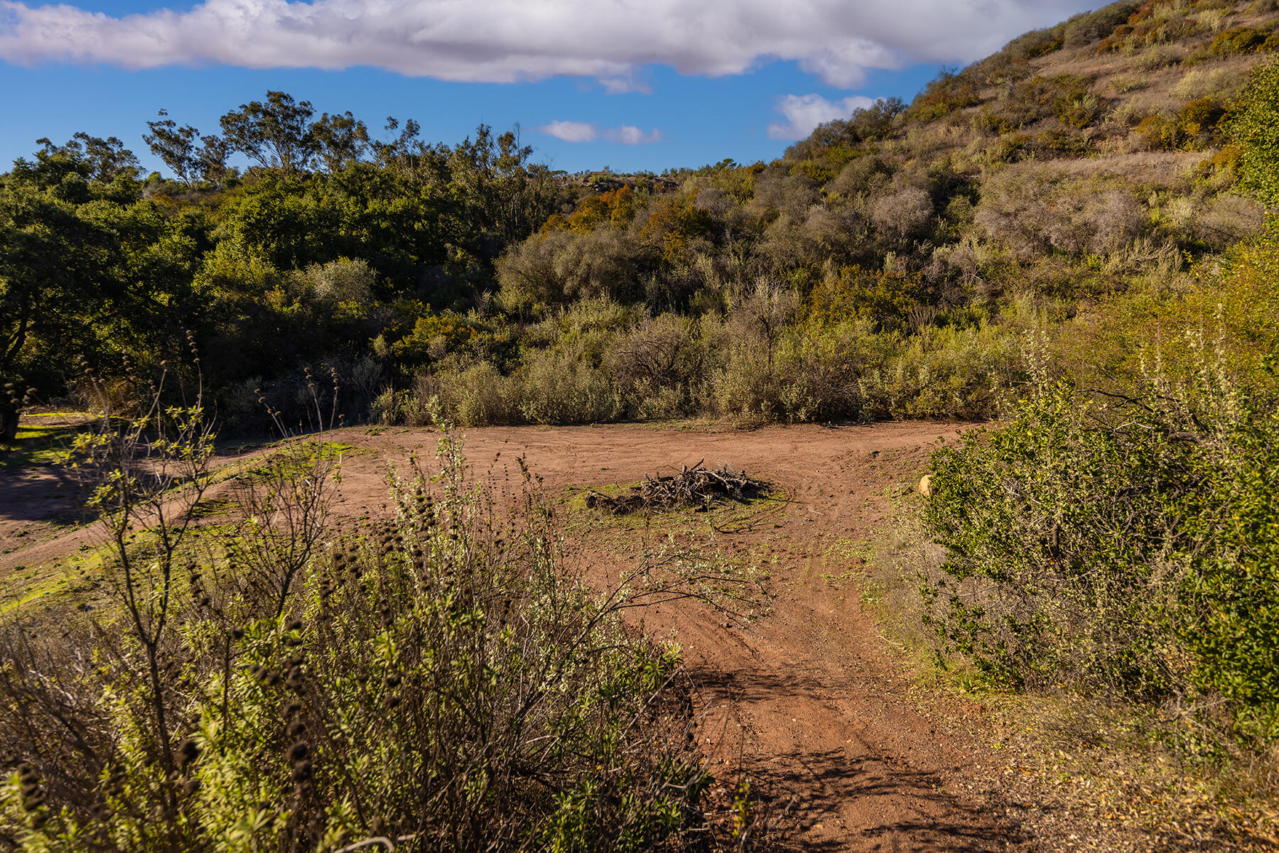 Ojai, California 93023, United States, ,Land,Active,146118