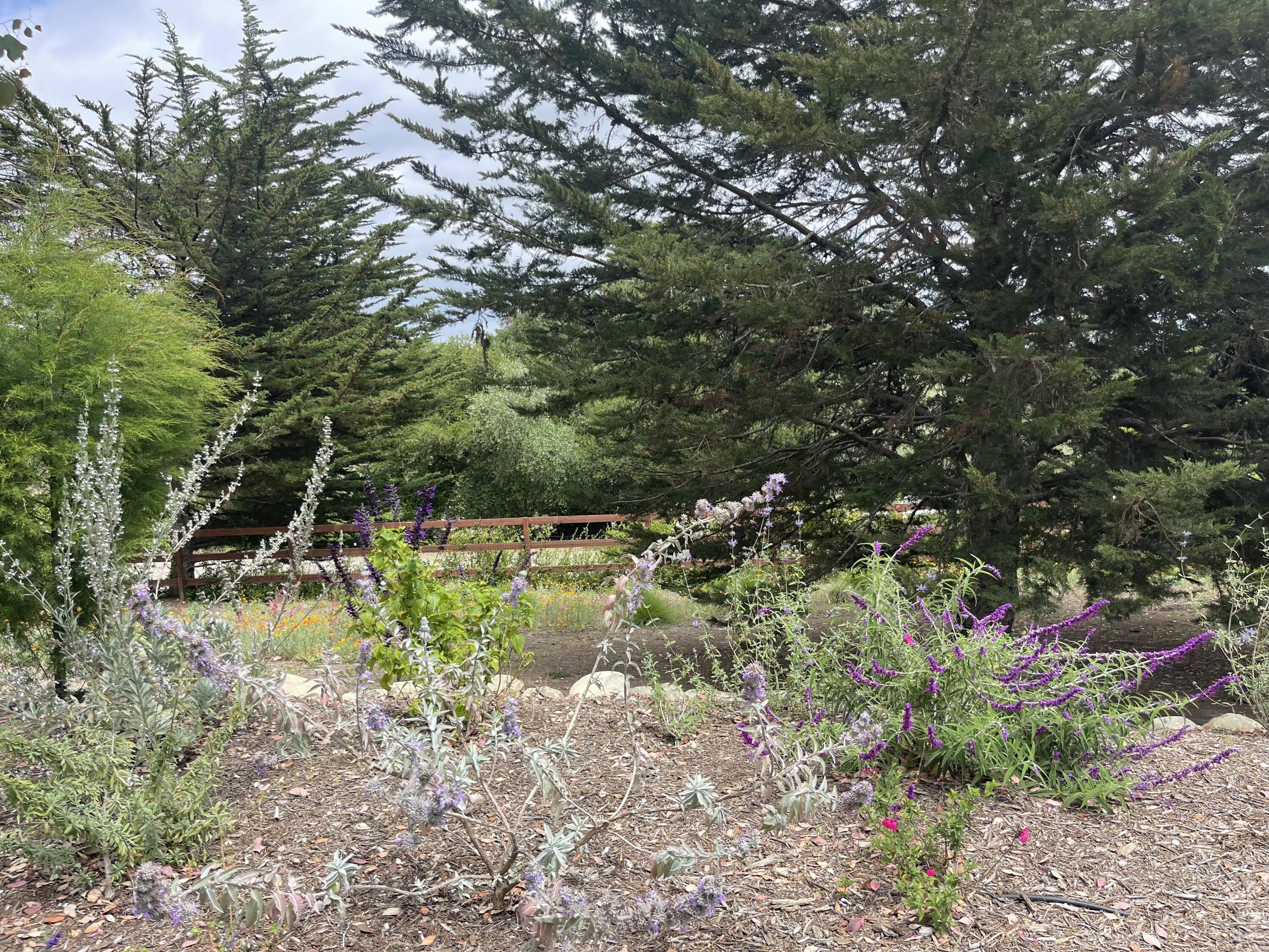 Santa Barbara, California 93110, United States, 4 Bedrooms Bedrooms, ,4 BathroomsBathrooms,Residential,Active,111059