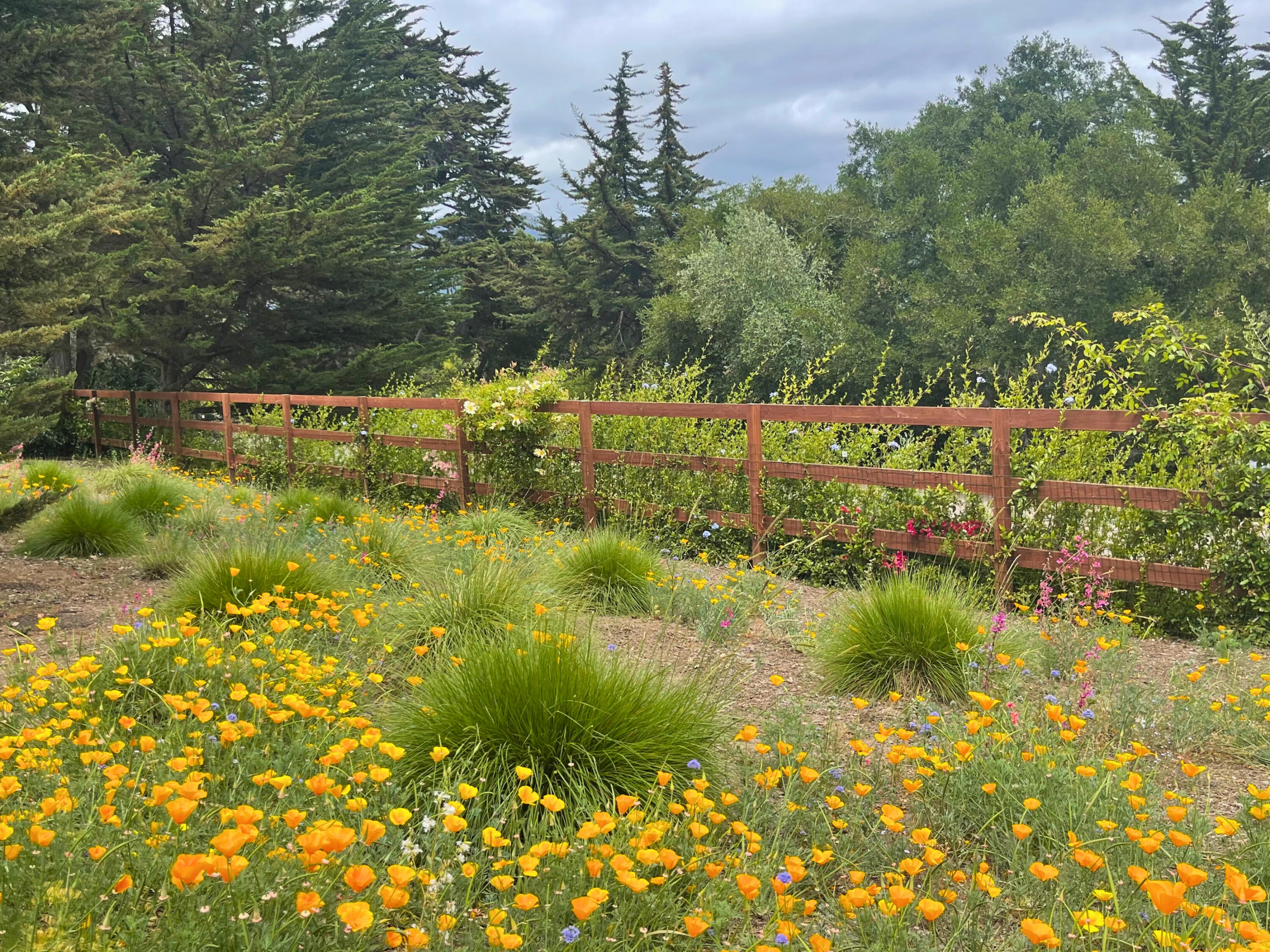 Santa Barbara, California 93110, United States, 4 Bedrooms Bedrooms, ,4 BathroomsBathrooms,Residential,Active,111059