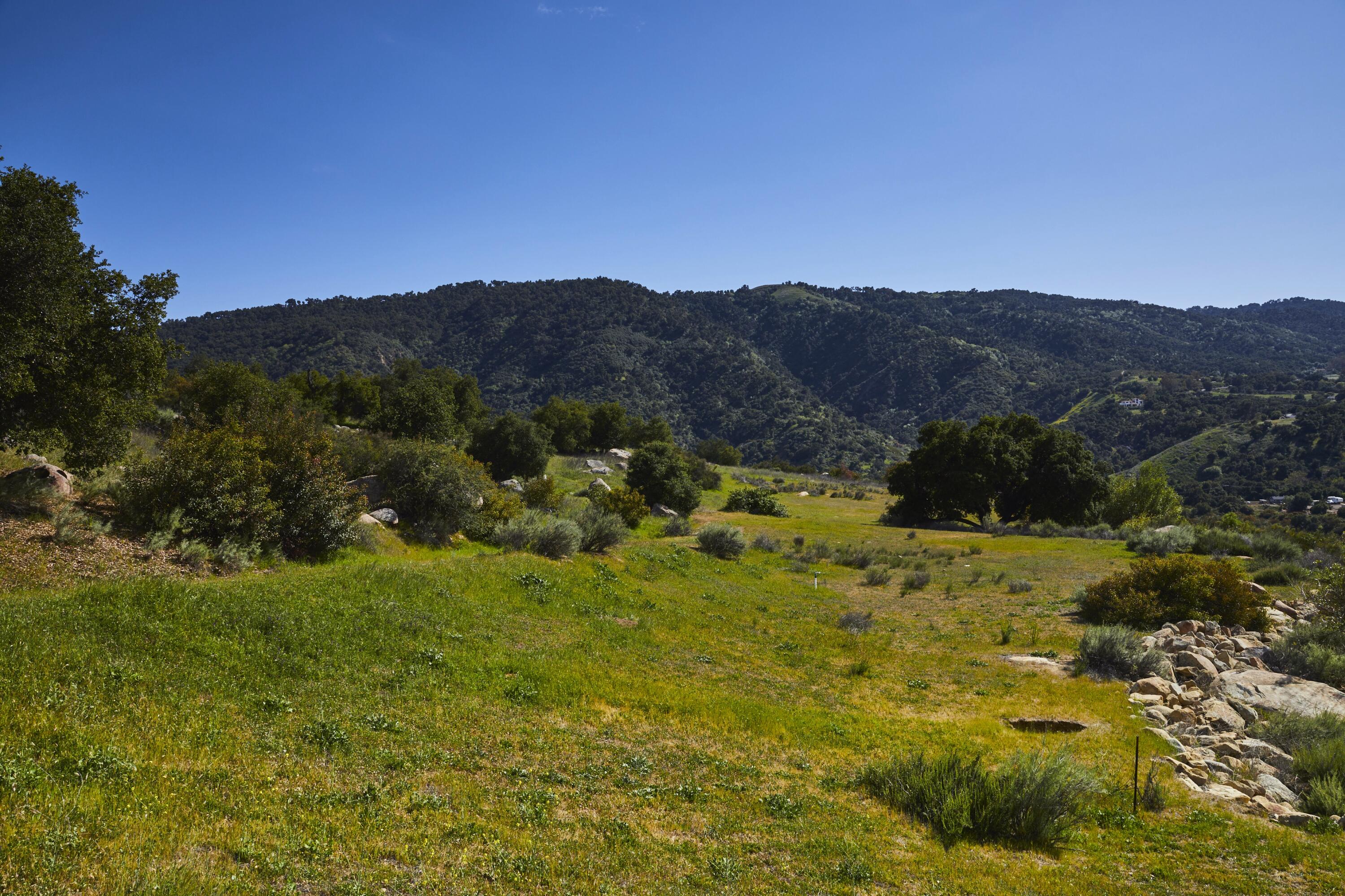 Ojai, California 93060, United States, 4 Bedrooms Bedrooms, ,3 BathroomsBathrooms,Residential,Active,136959