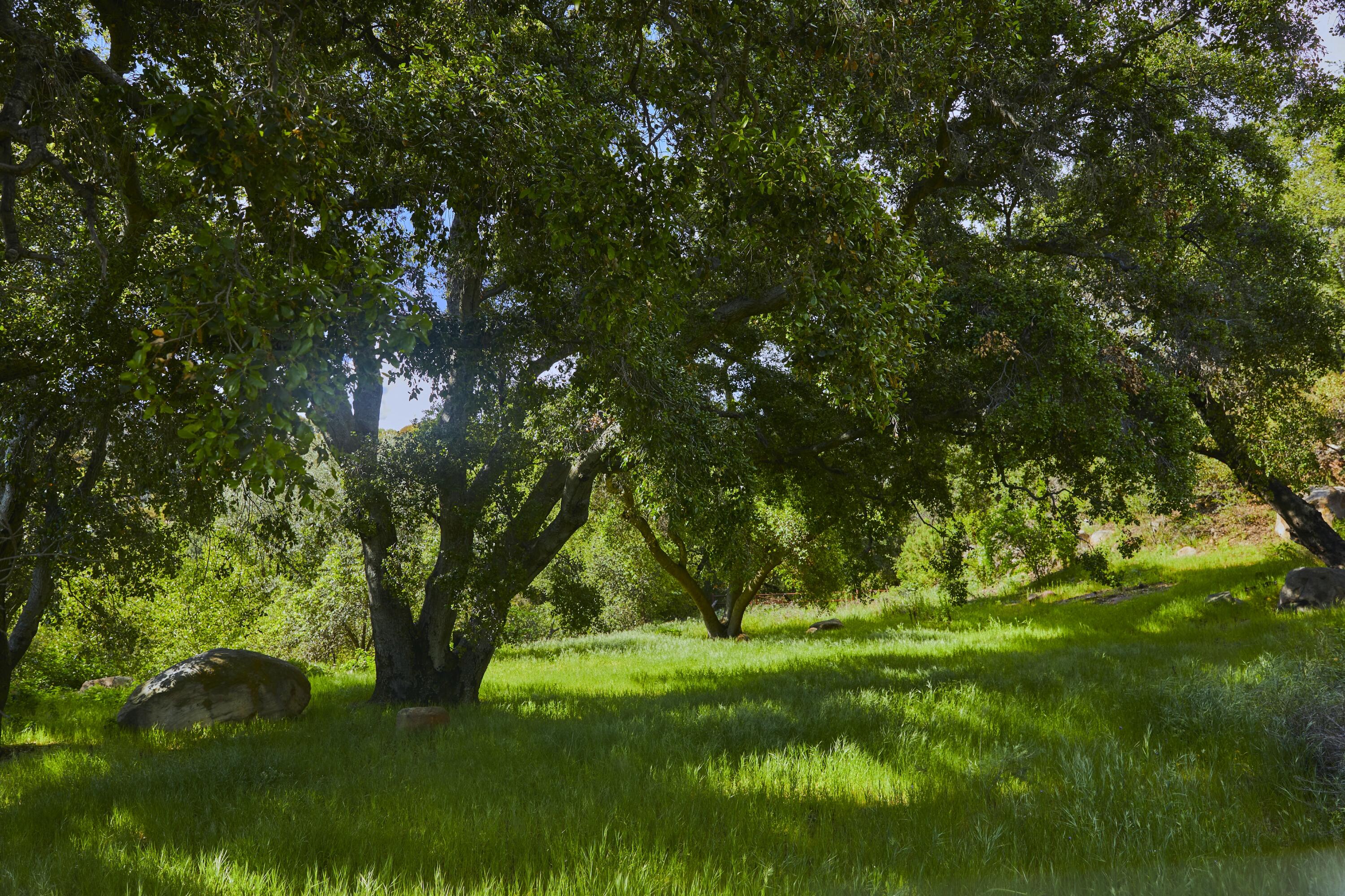 Ojai, California 93060, United States, 4 Bedrooms Bedrooms, ,3 BathroomsBathrooms,Residential,Active,136959