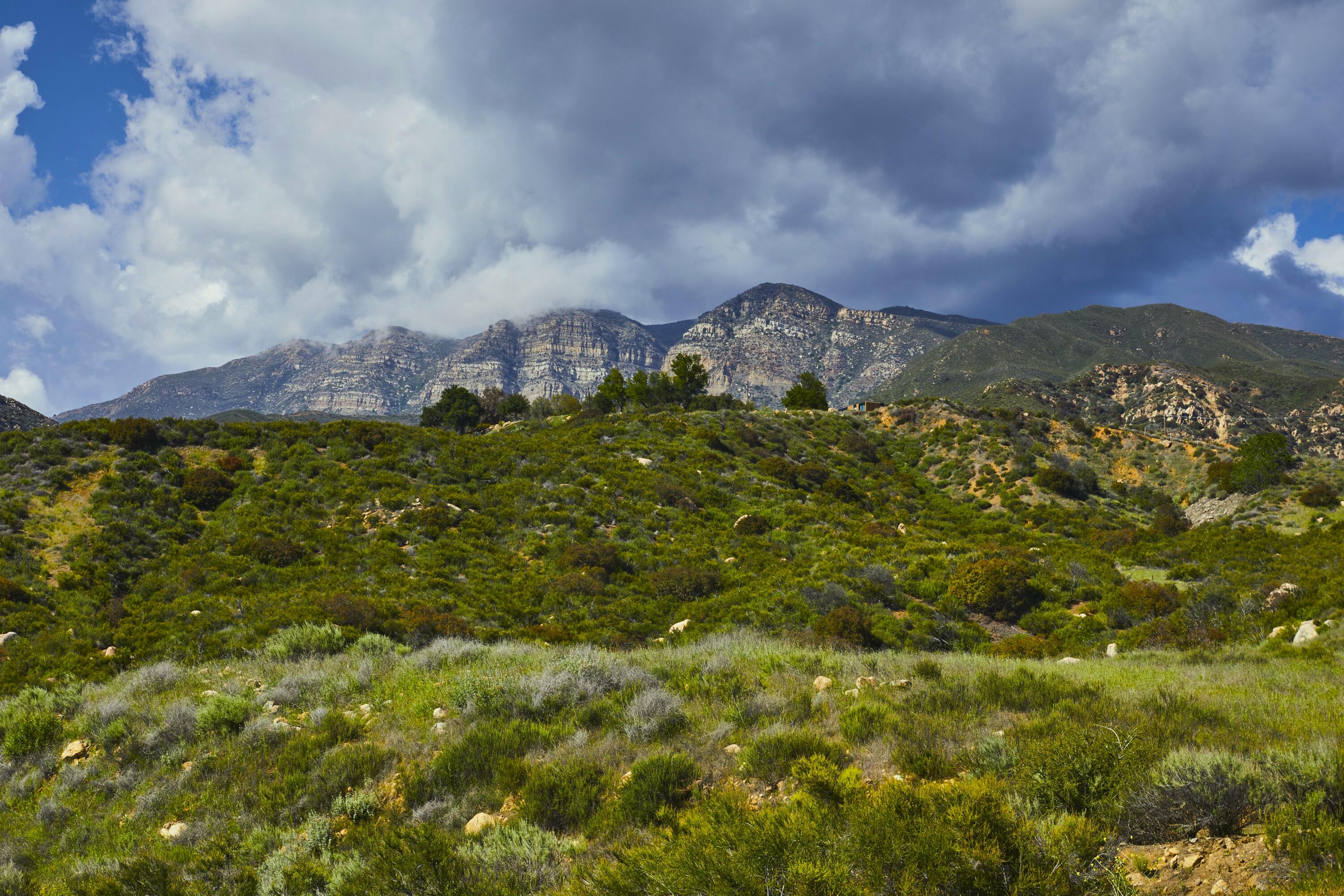 Ojai, California 93060, United States, 4 Bedrooms Bedrooms, ,3 BathroomsBathrooms,Residential,Active,136959