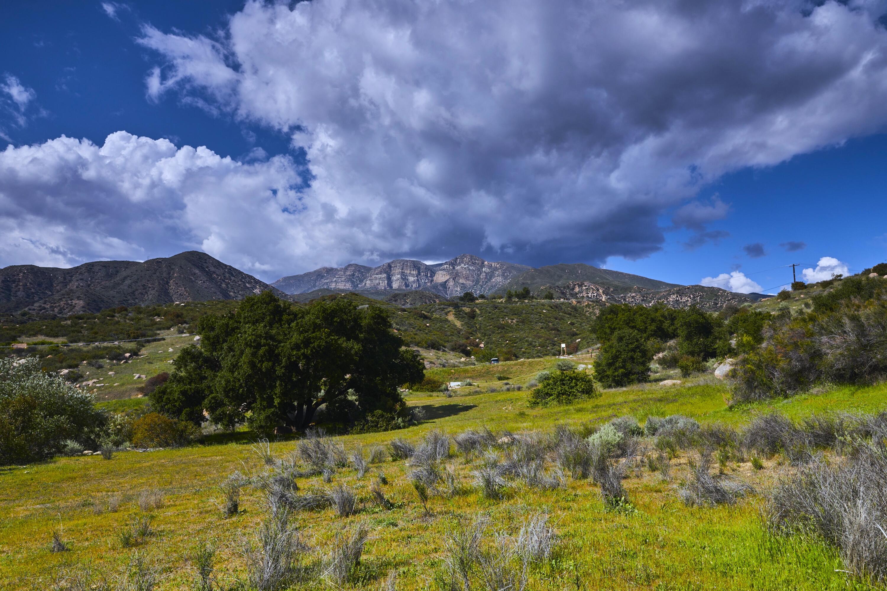Ojai, California 93060, United States, 4 Bedrooms Bedrooms, ,3 BathroomsBathrooms,Residential,Active,136959