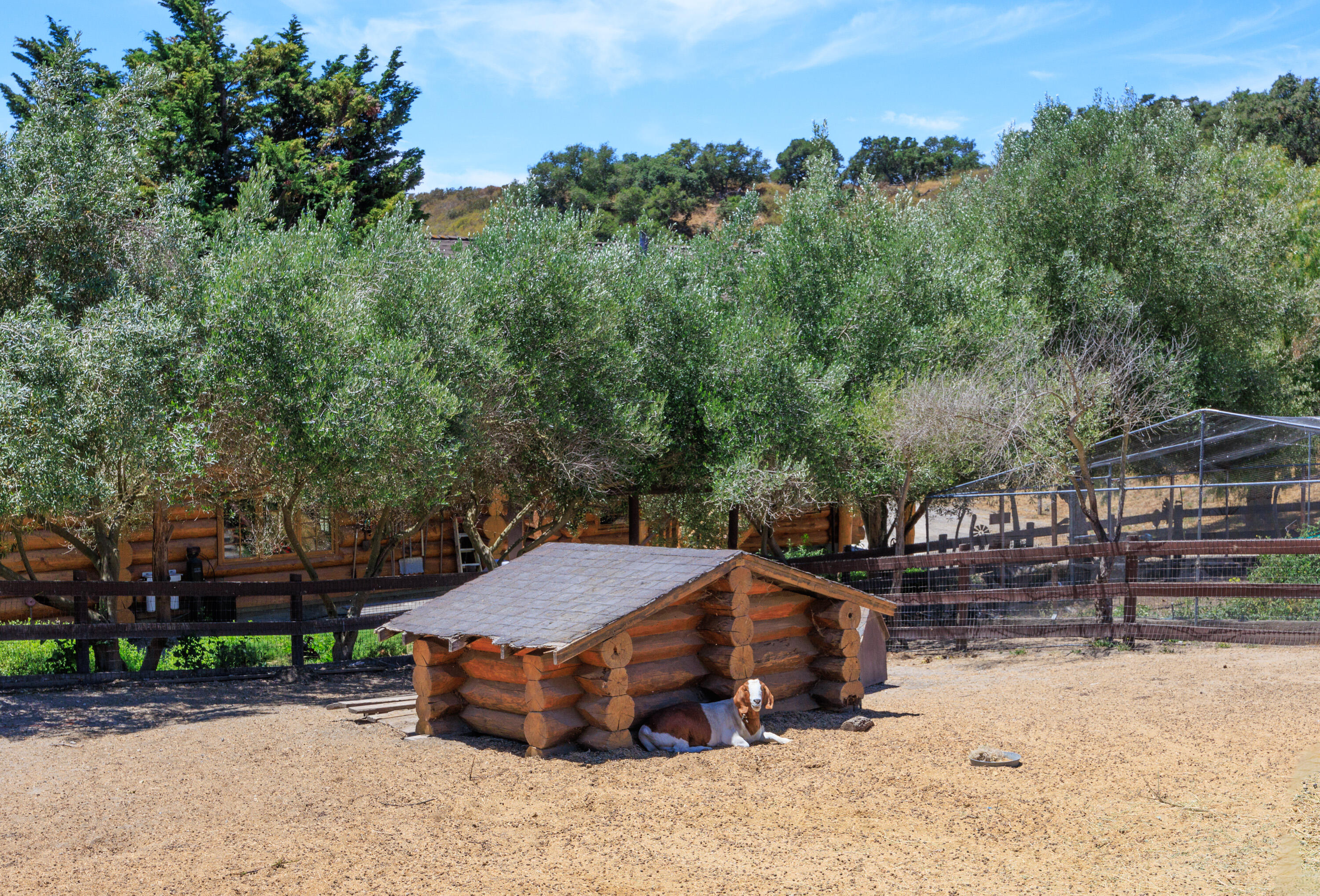 Lompoc, California 93436, United States, 3 Bedrooms Bedrooms, ,3 BathroomsBathrooms,Residential,Active,48616