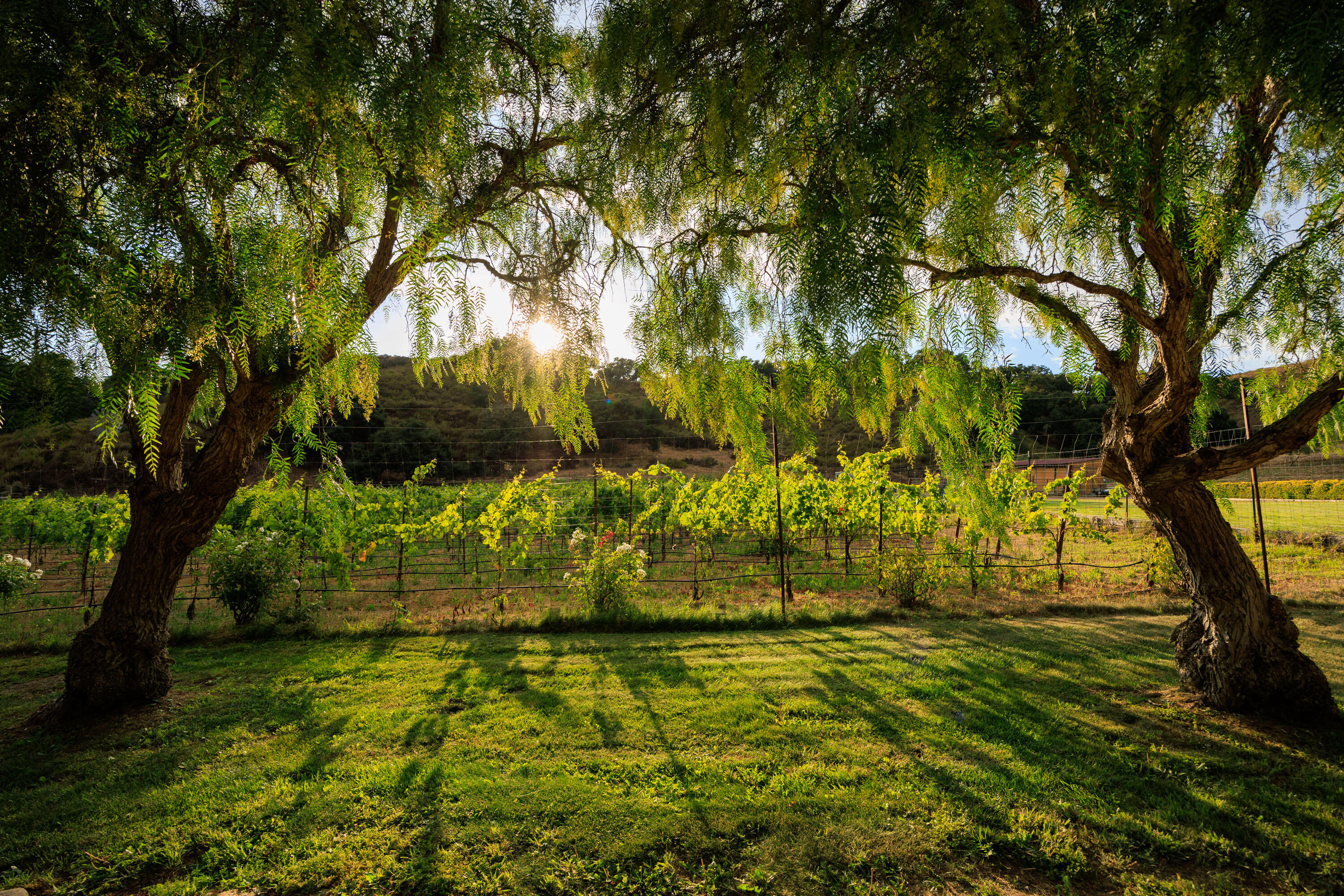 Lompoc, California 93436, United States, 3 Bedrooms Bedrooms, ,3 BathroomsBathrooms,Residential,Active,48616