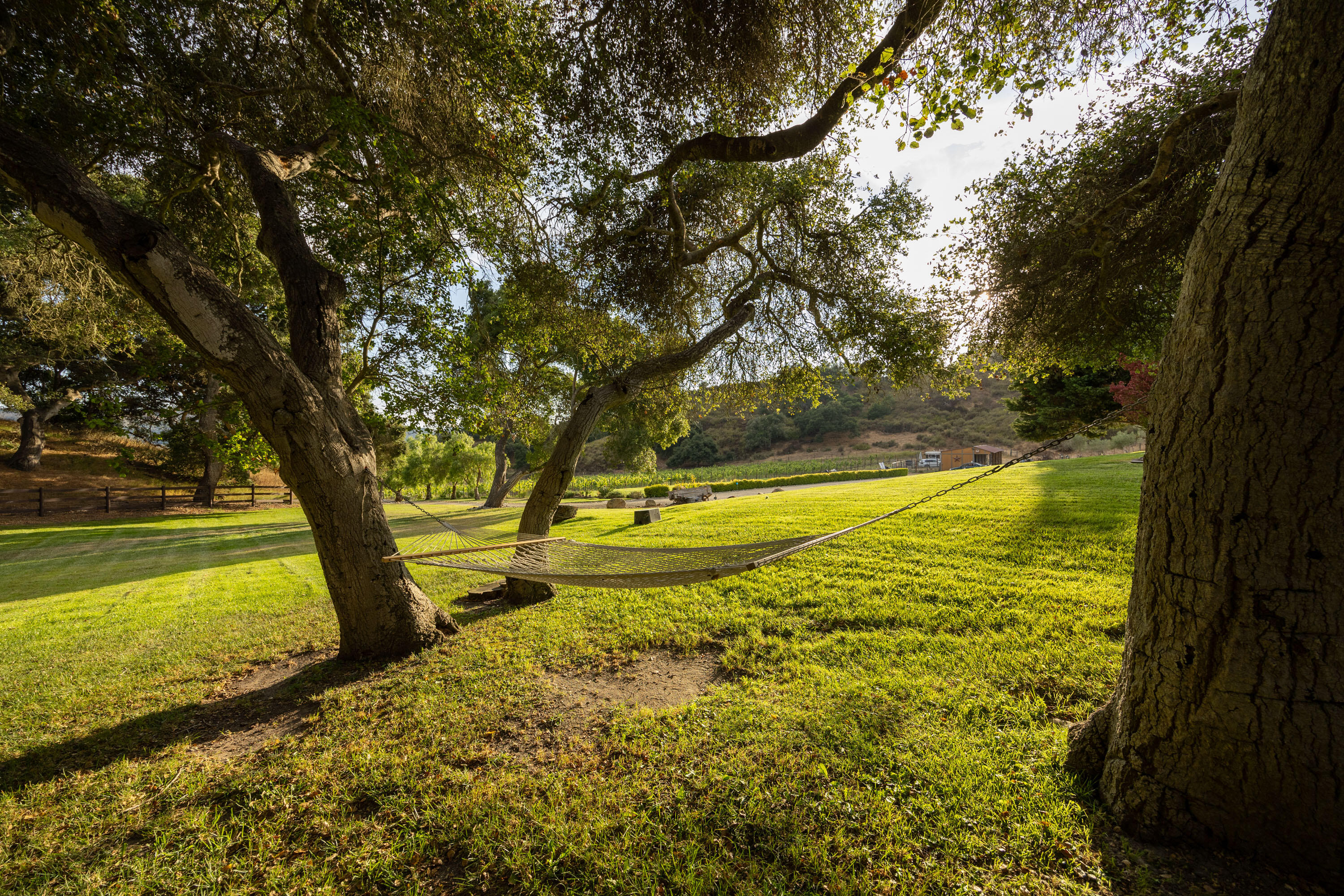 Lompoc, California 93436, United States, 3 Bedrooms Bedrooms, ,3 BathroomsBathrooms,Residential,Active,48616