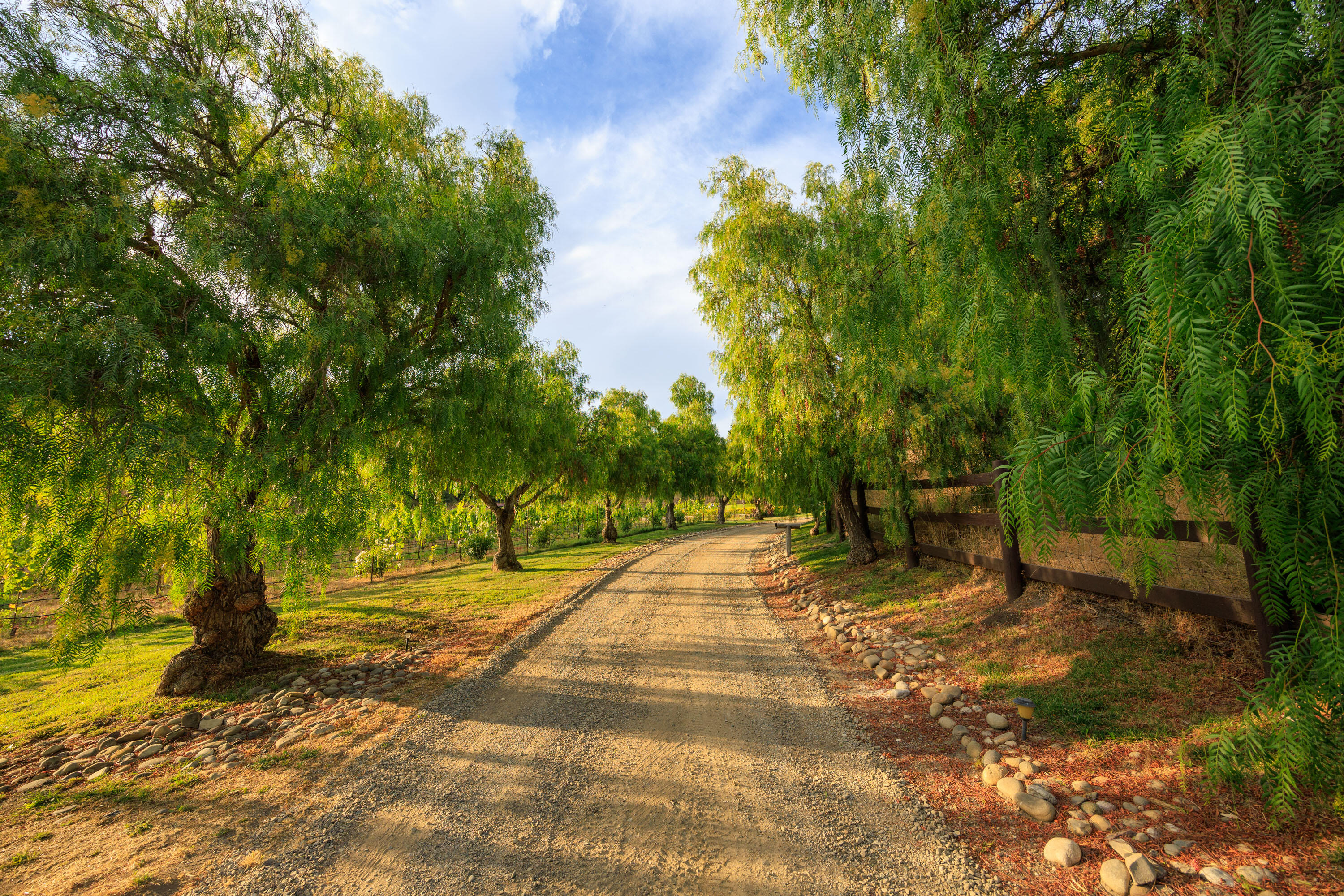 Lompoc, California 93436, United States, 3 Bedrooms Bedrooms, ,3 BathroomsBathrooms,Residential,Active,48616
